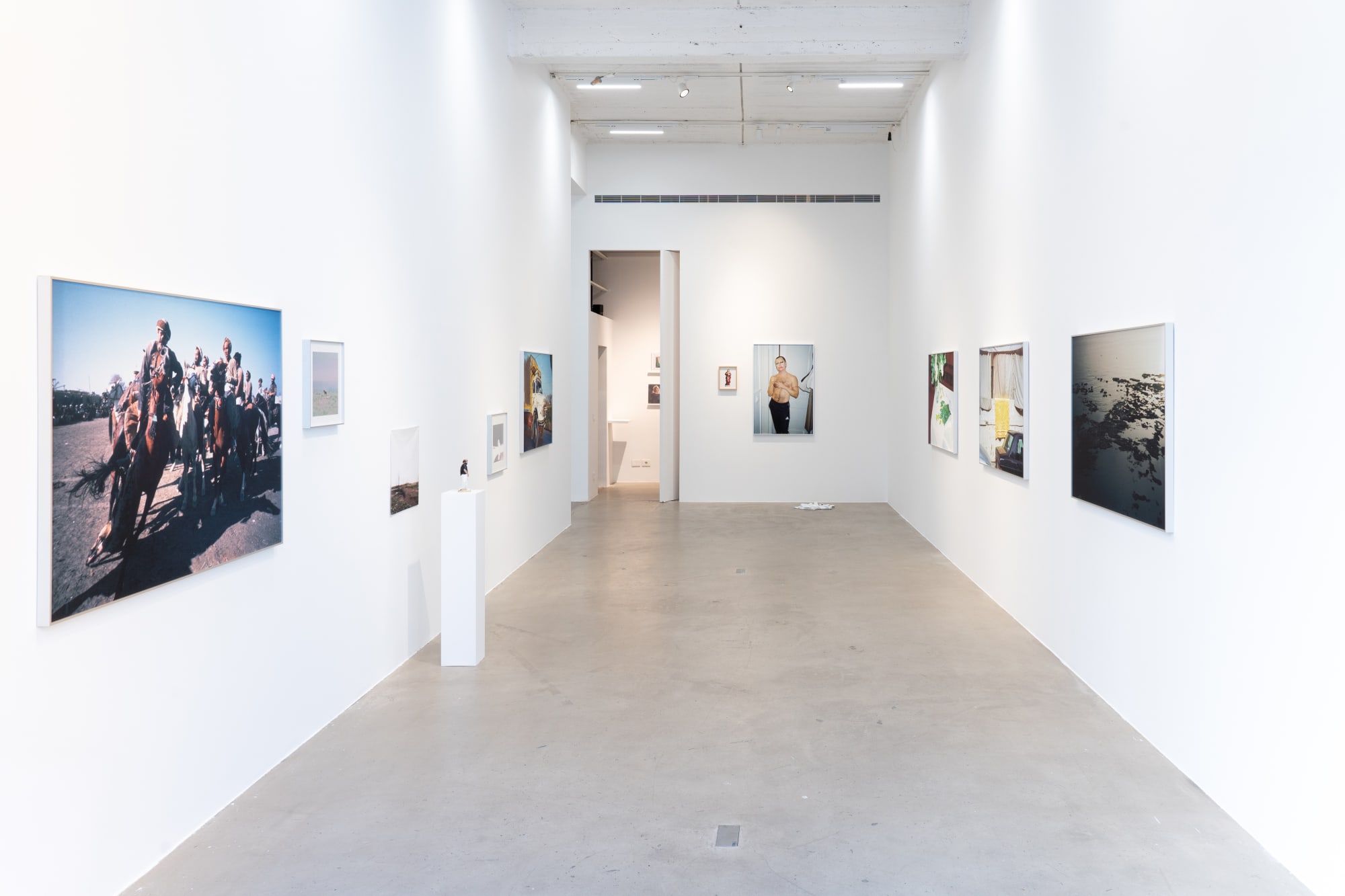 Mohamad Abdouni - Barren Seeds