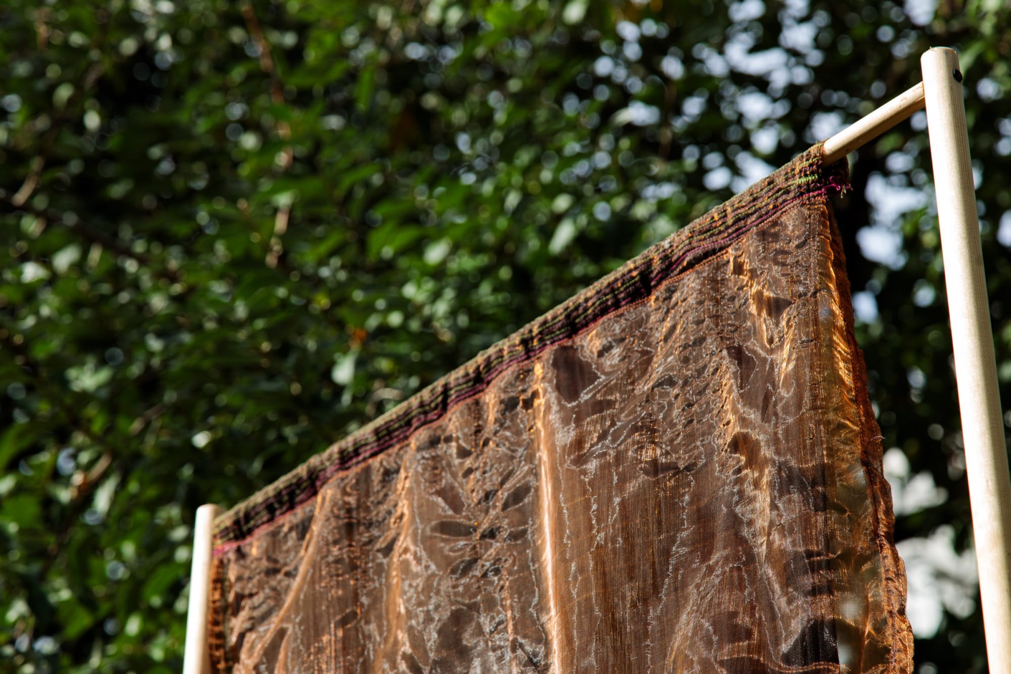 The feelings the butterflies gave me