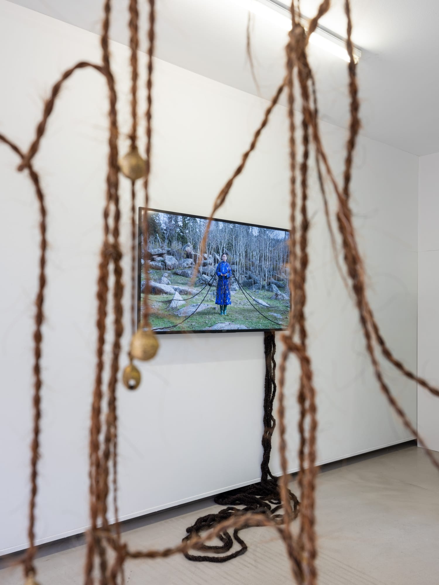 ᠴᠢᠨᠠᠳᠤ ᠰᠠᠯᠬ (The Wind on the Other Side)