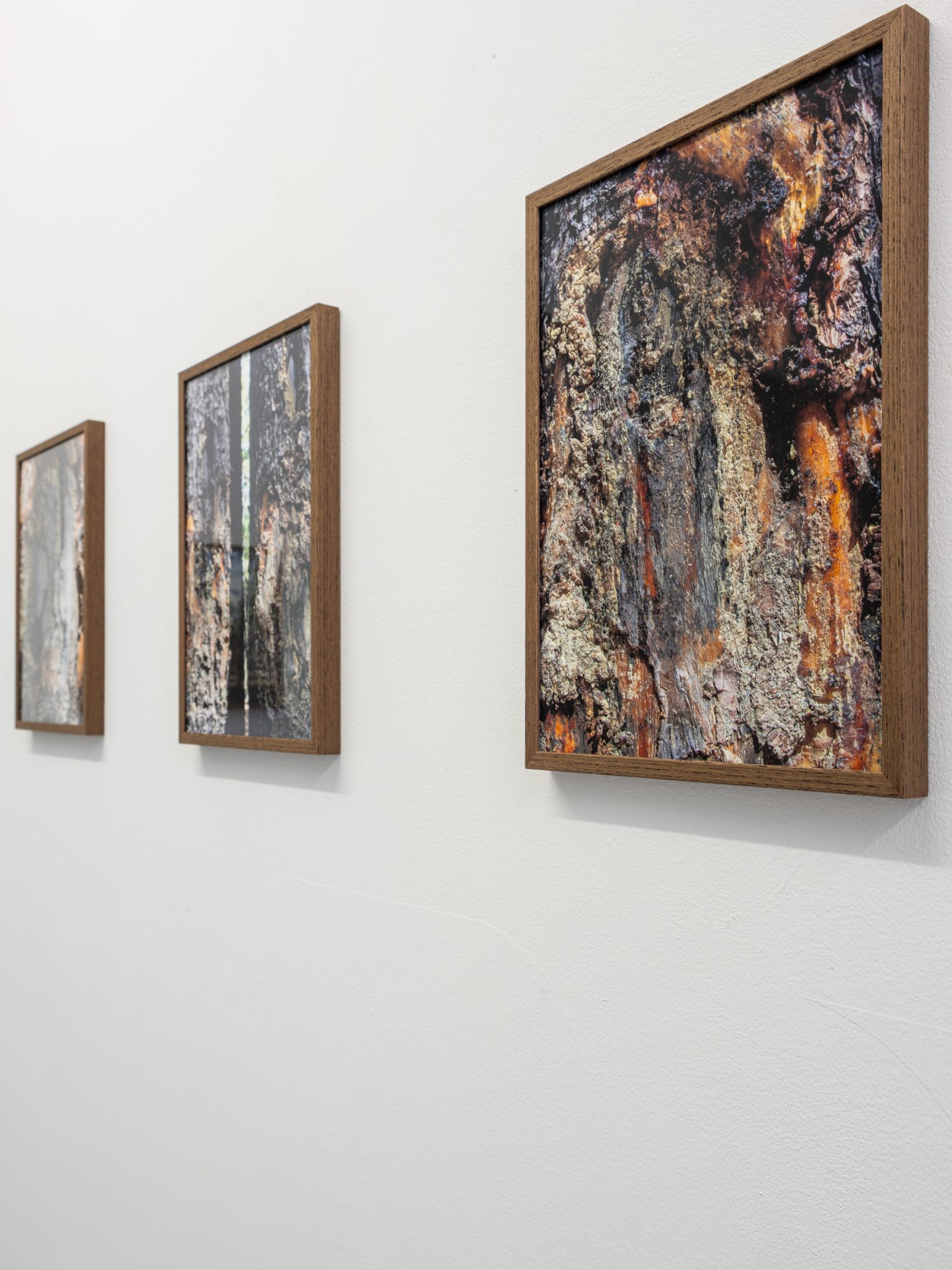 ᠴᠢᠨᠠᠳᠤ ᠰᠠᠯᠬ (The Wind on the Other Side)