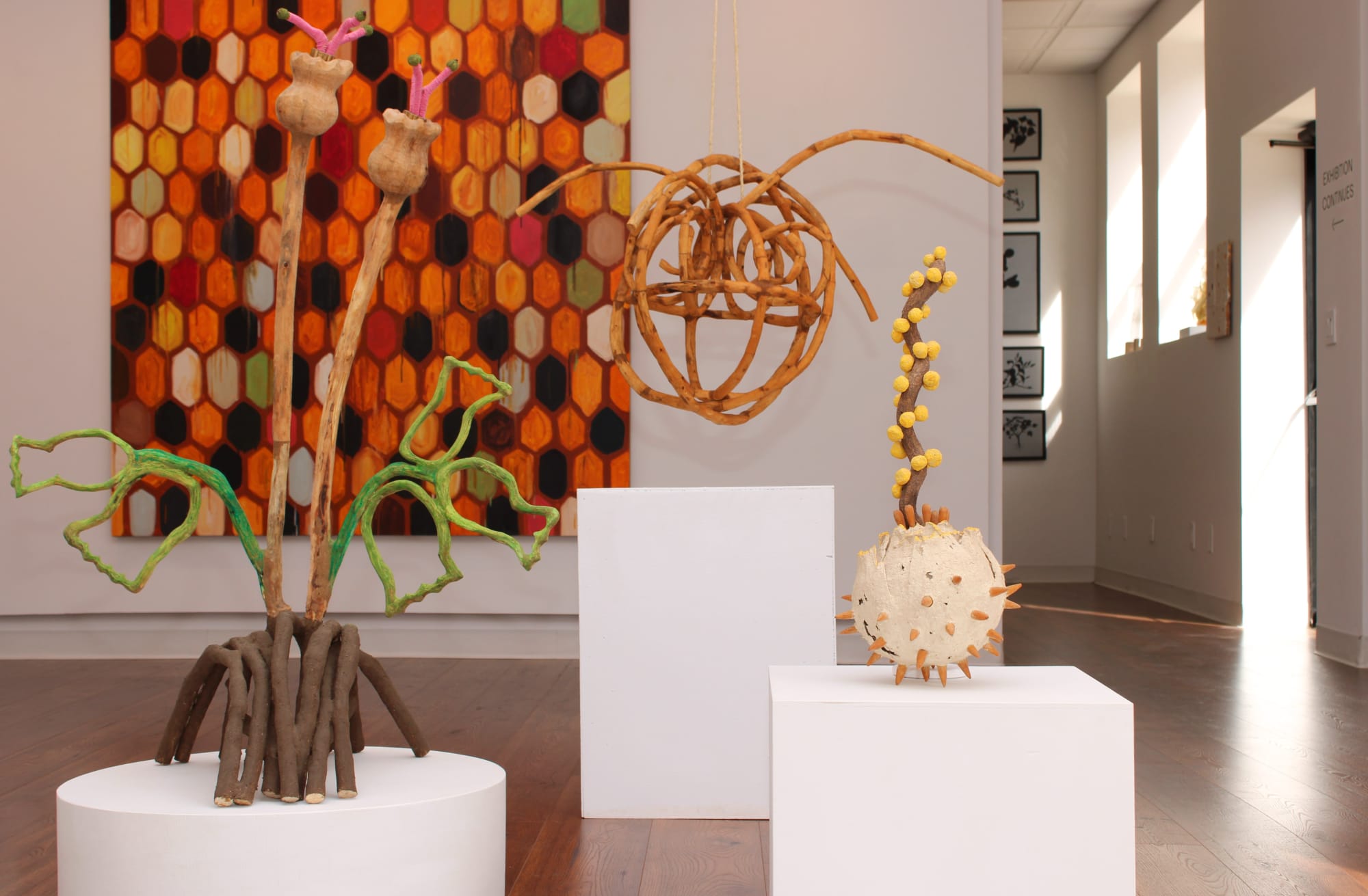 Into the Woods: Chaos, Magic & Healing