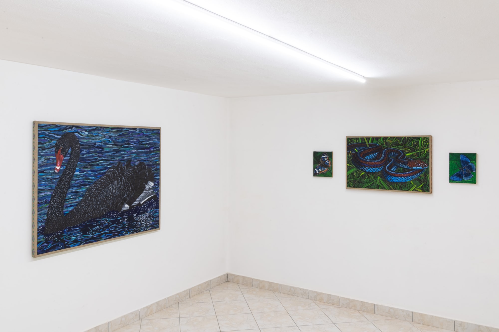 Matteo Callegari - Life Force