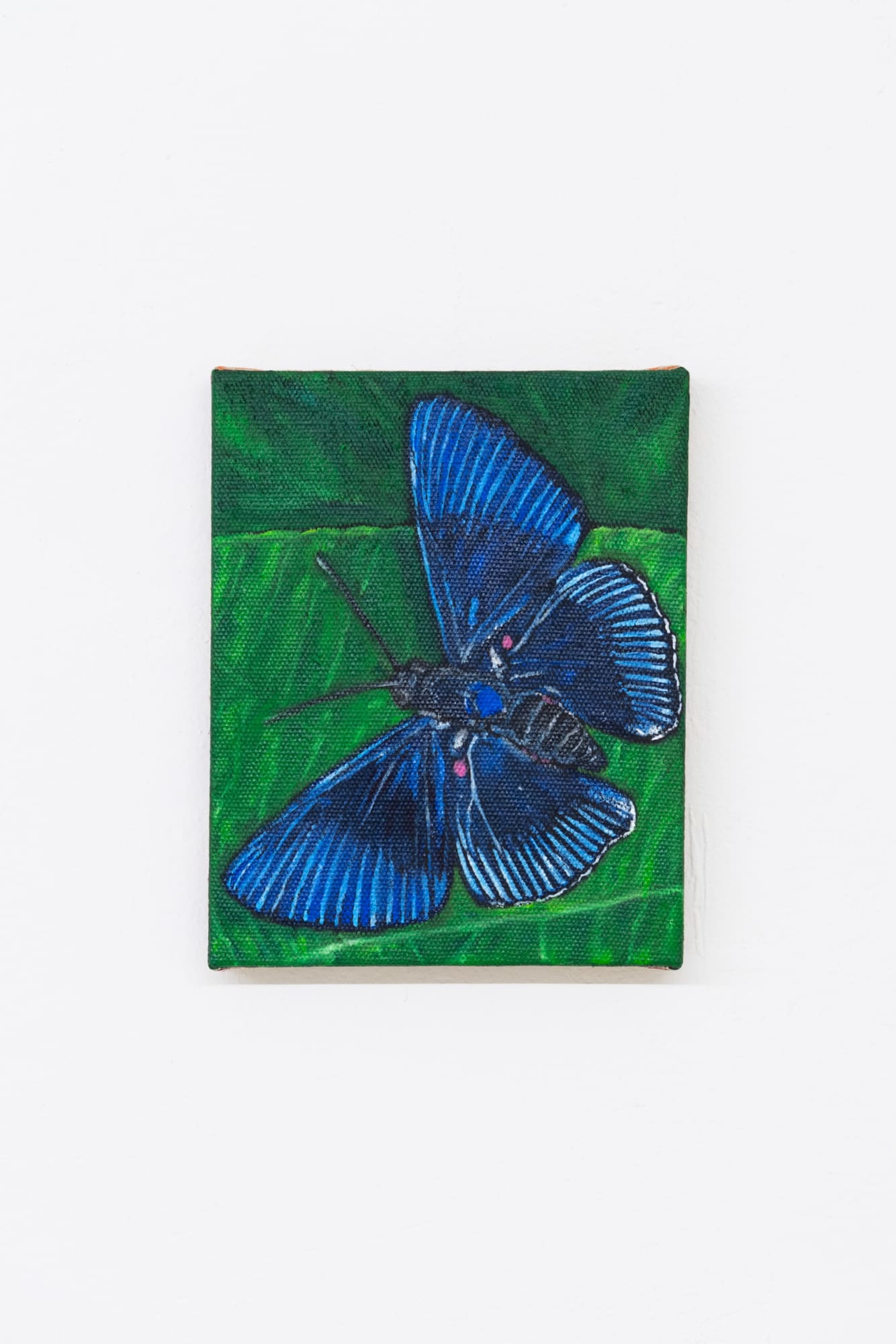 Matteo Callegari - Life Force