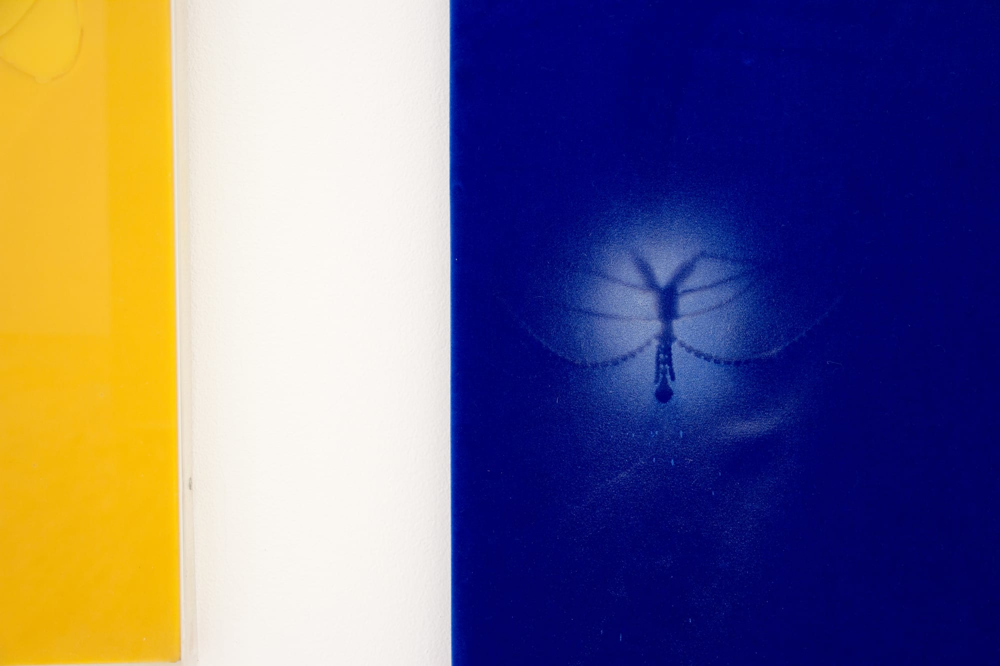 To Bid Or Not To Bid - Contemporary Curated