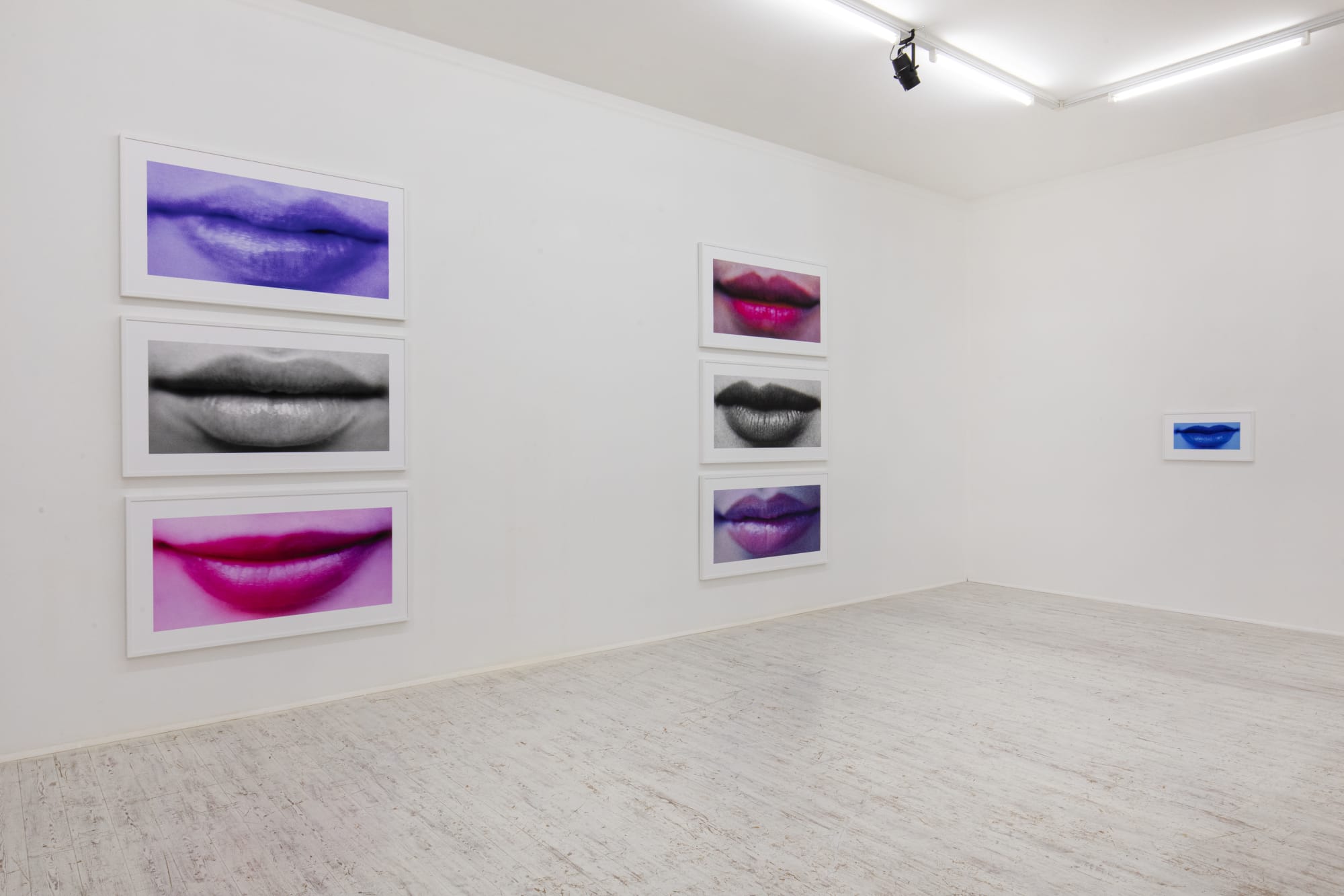 Sam Samore - Schizophrenic Beauty (Continued)