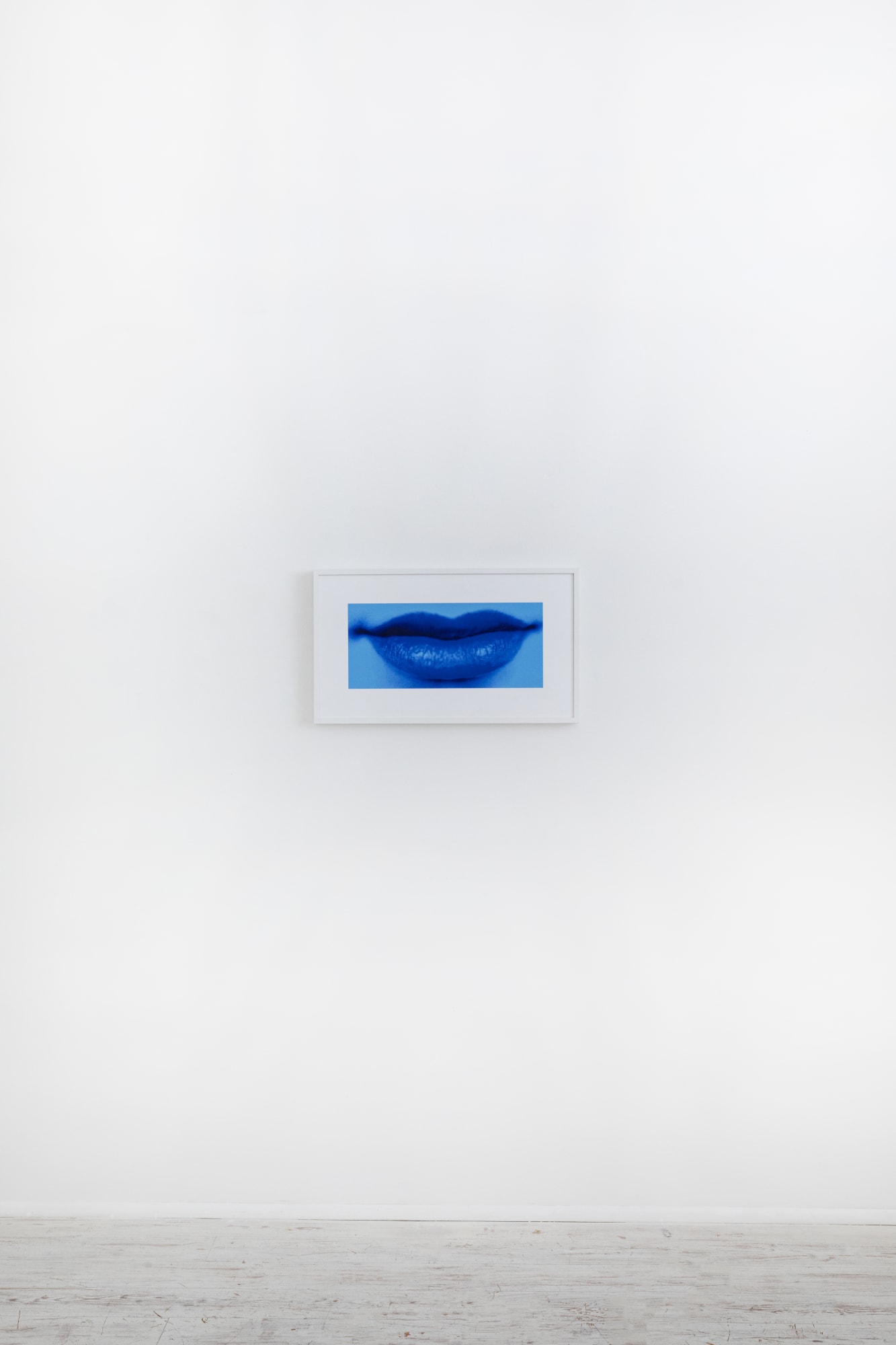 Sam Samore - Schizophrenic Beauty (Continued)