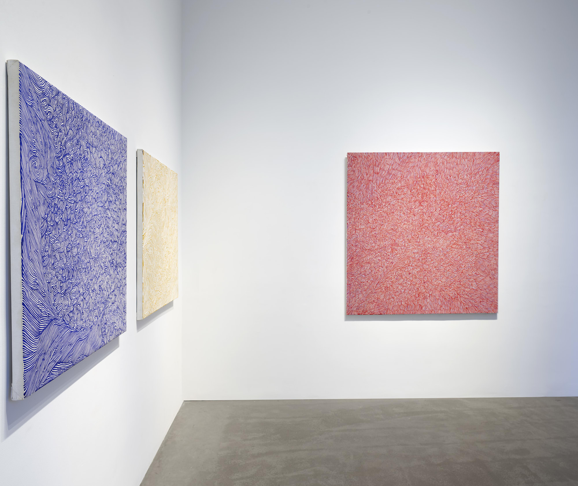 IN FOCUS: Francesco Polenghi