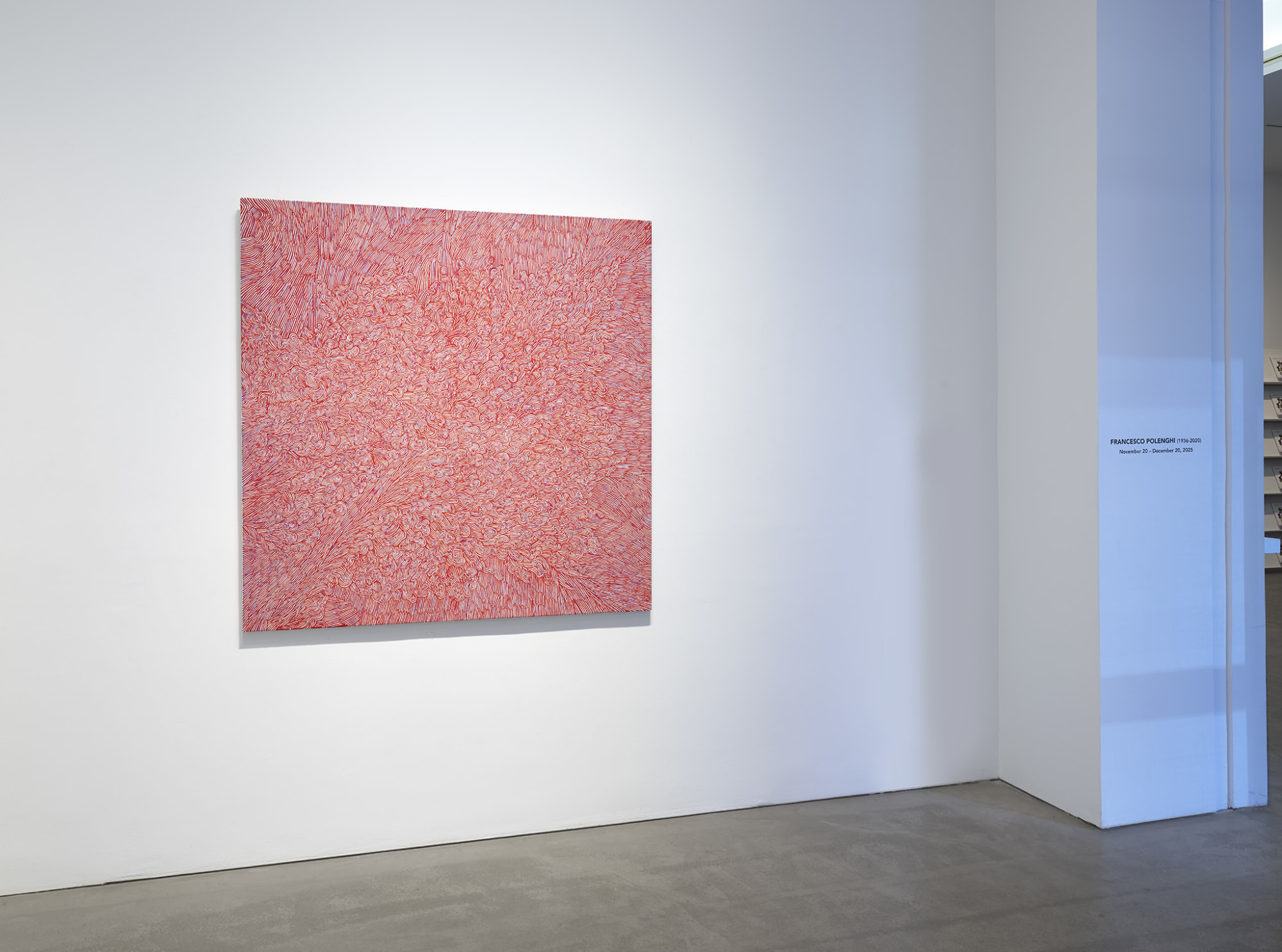 IN FOCUS: Francesco Polenghi