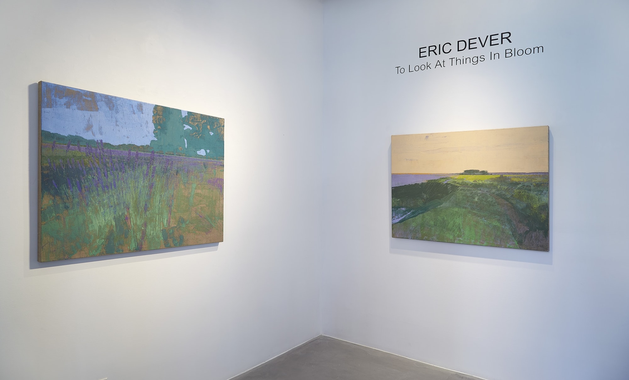 Eric Dever