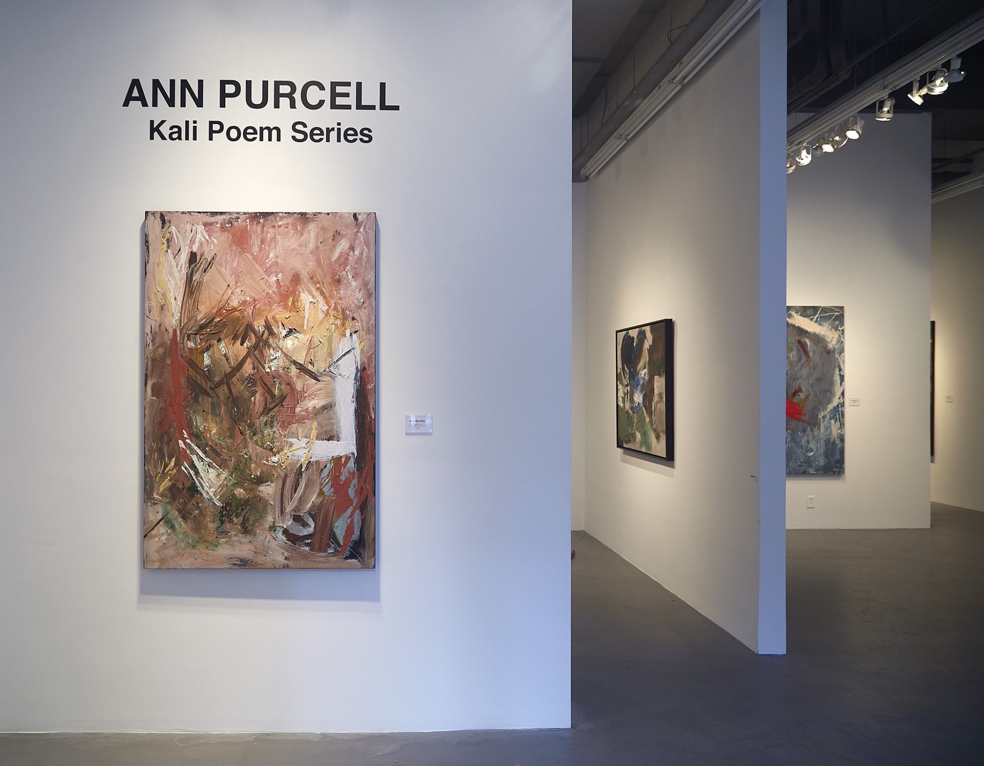 Ann Purcell