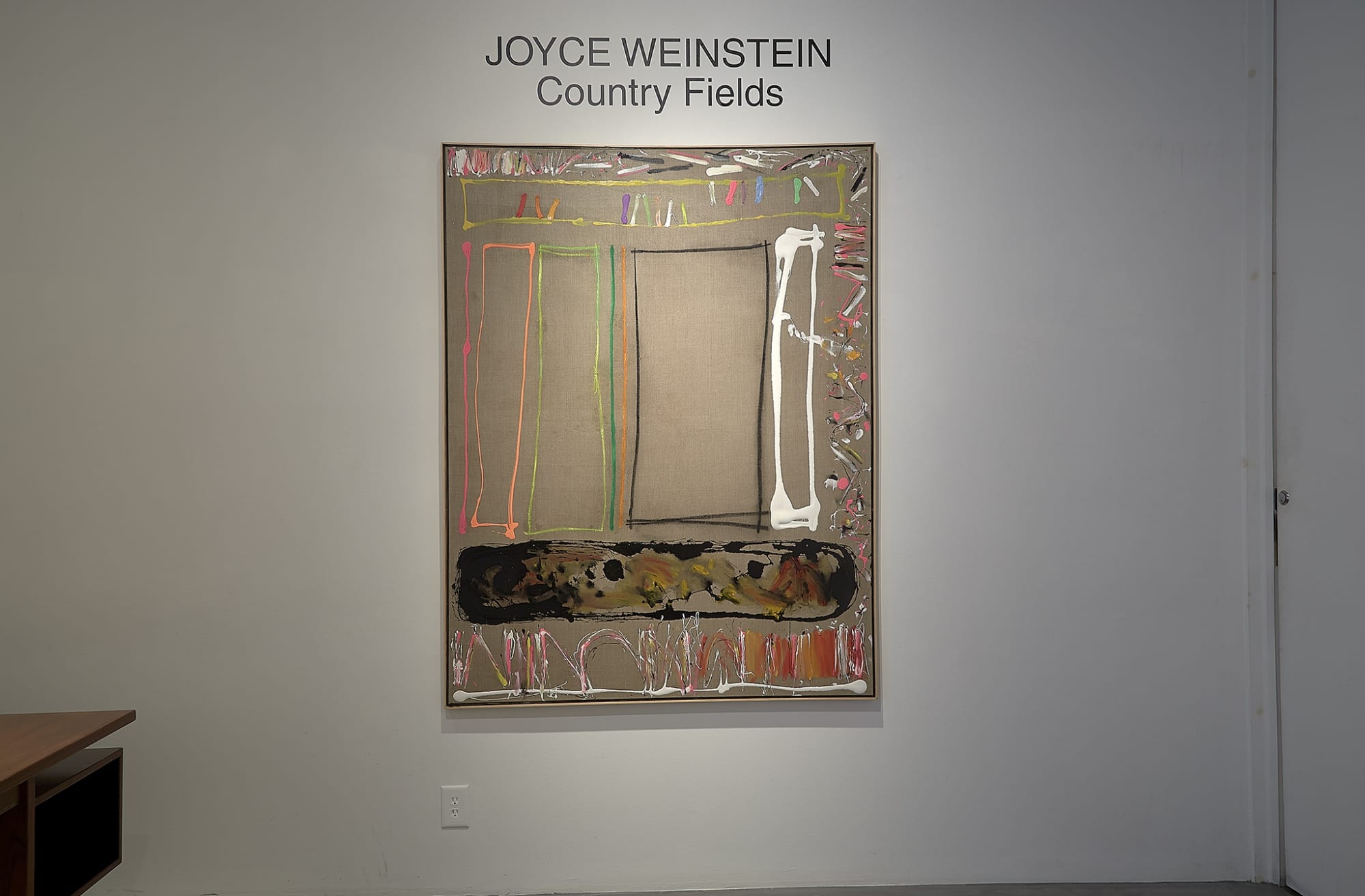 Joyce Weinstein