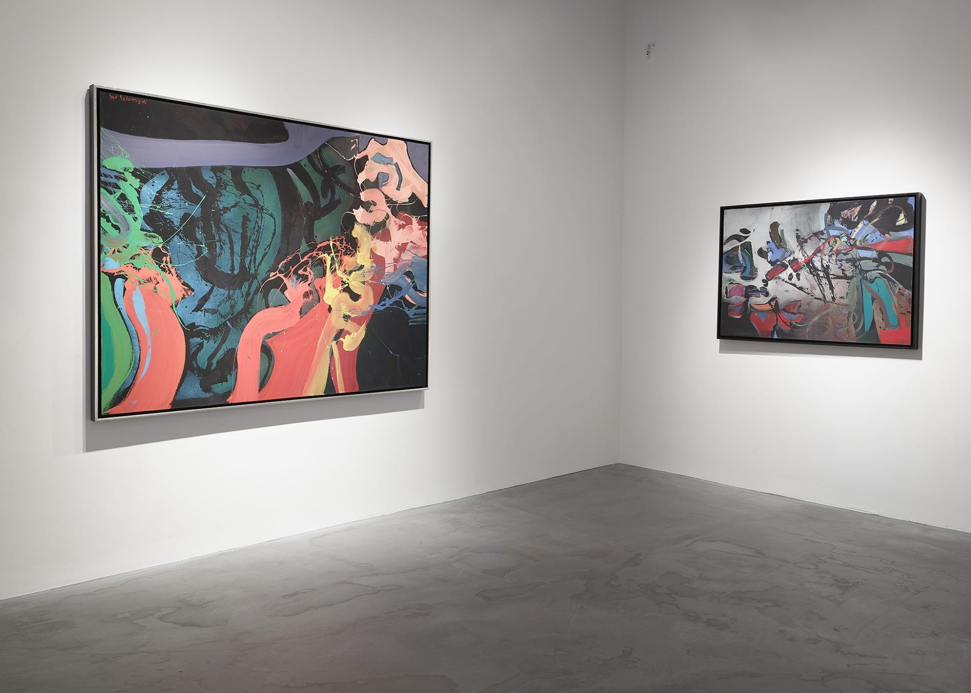 Syd Solomon: Time & Tide