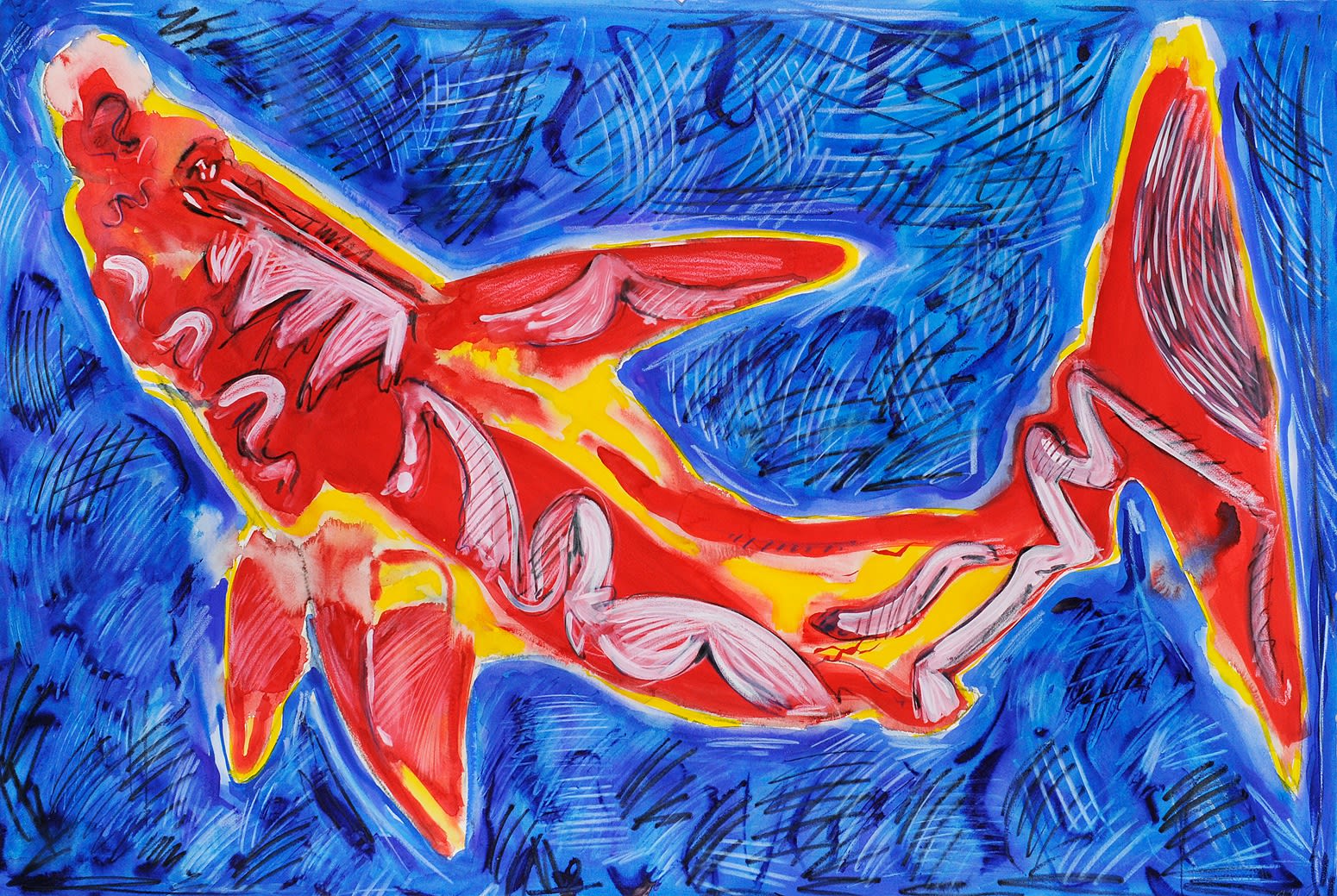 Red Shark Study, Gouache and Crayon on Paper, 32x44", 2024