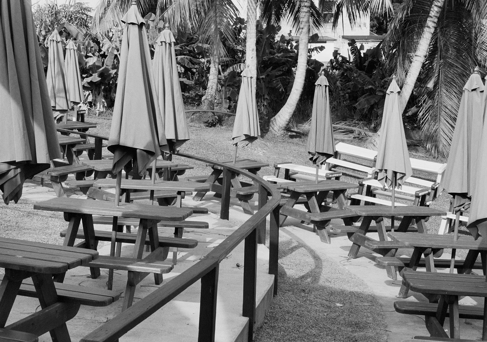 Farmer's Market, Brighton Farm, St. George, Barbados, 2023 Selenium Toned Silver Gelatin Print, 16x20" Archival Pigment Print on Moab Entrada Rag, 17x21" Edition of Three