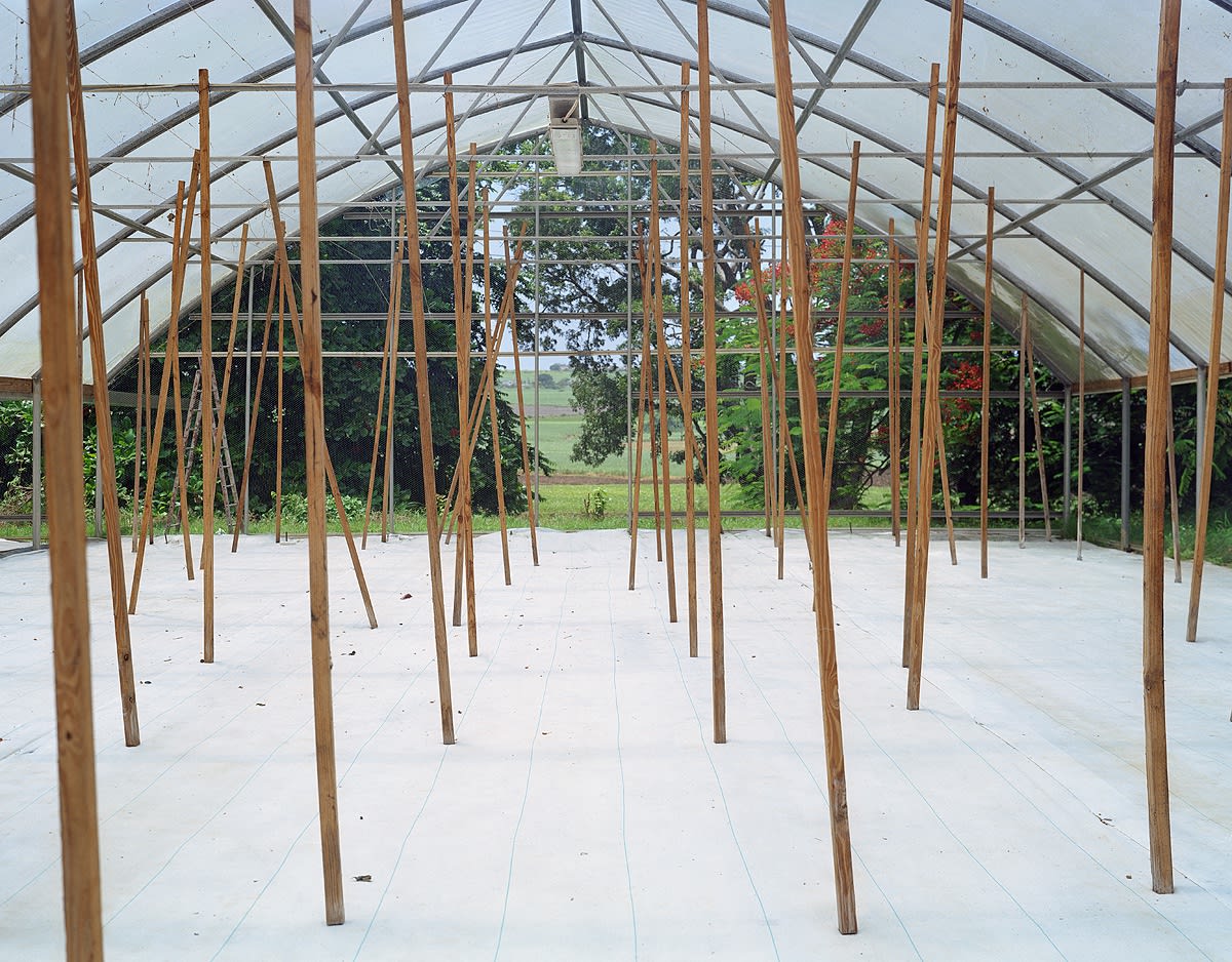 Greenhouse Prep, Brighton Farm, St. George, Barbados, 2006 Archival Pigment Print on Moab Entrada Rag, 17x21" Edition of Three