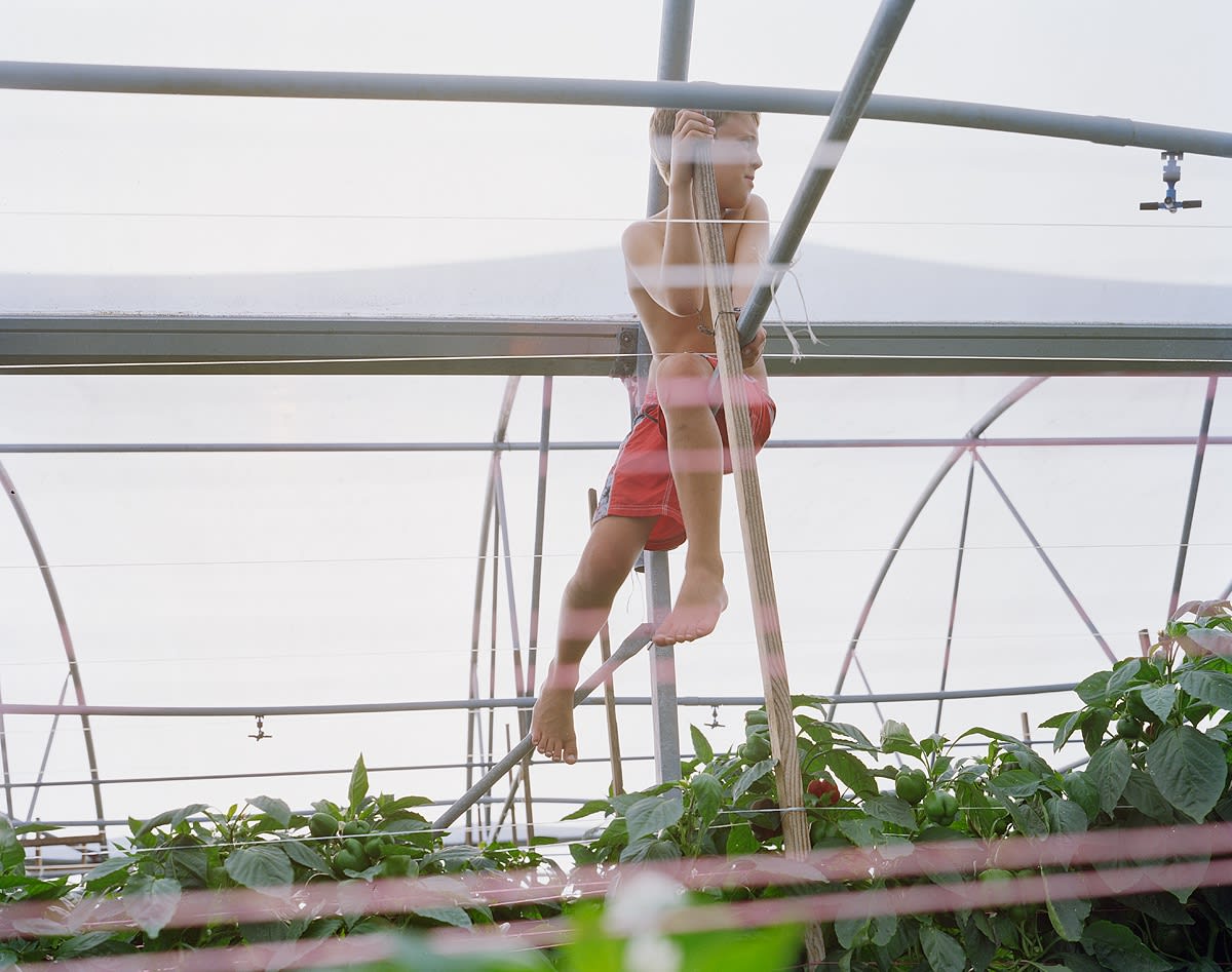 Johnathan in Greenhouse, Brighton Farm, St. George, Barbados, 2006 Archival Pigment Print on Moab Entrada Rag, 17x21" Edition of Three