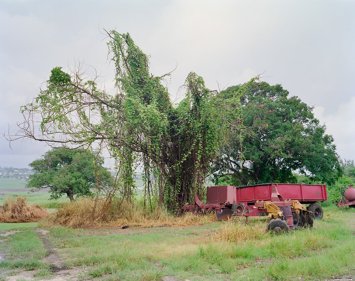 Equipment Storage, Brighton Farm, St. George, Barbados, 2004 Archival Pigment Print on Moab Entrada Rag, 17x21" Edition of Three