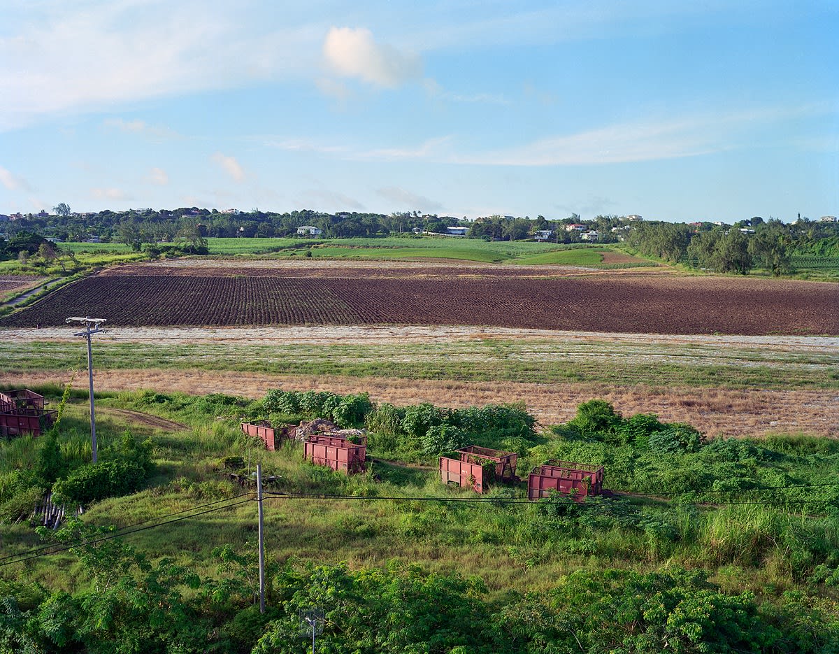View from Water Tower, Brighton Farm, St. George, Barbados, 2006 Archival Pigment Print on Moab Entrada Rag, 17x21" Edition of Three