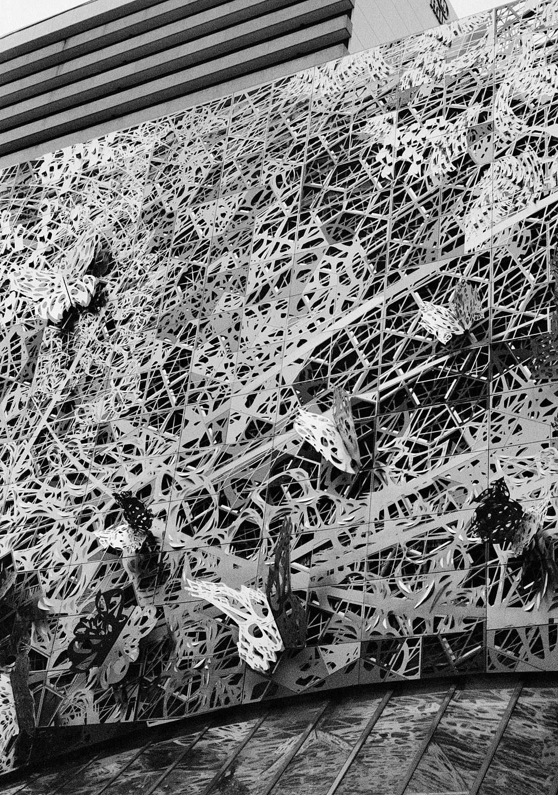 Downtown Brisbane, Queensland, Australia, 2022 Archival Pigment Print on Moab Entrada Rag, 21x17" Edition of Three