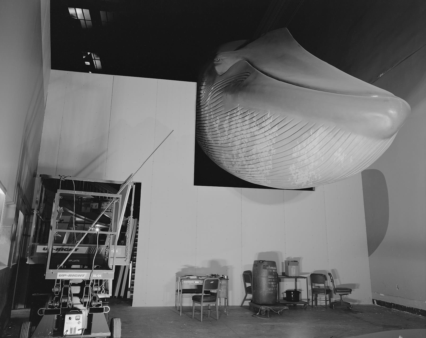 Marine Hall Renovation, Smithsonian Natural History Museum, Washington D.C., 1991 Archival Pigment Print on Moab Entrada Rag, Image Size, 8x10", Paper Size, 17x21" Edition of Three