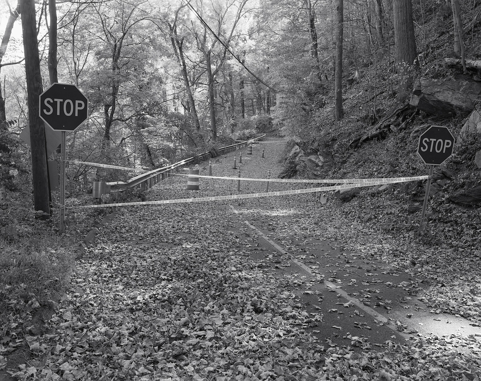 My Road, Wilton, Connecticut, 2024 Selenium Toned Silver Gelatin Print 16x20" Edition of Three