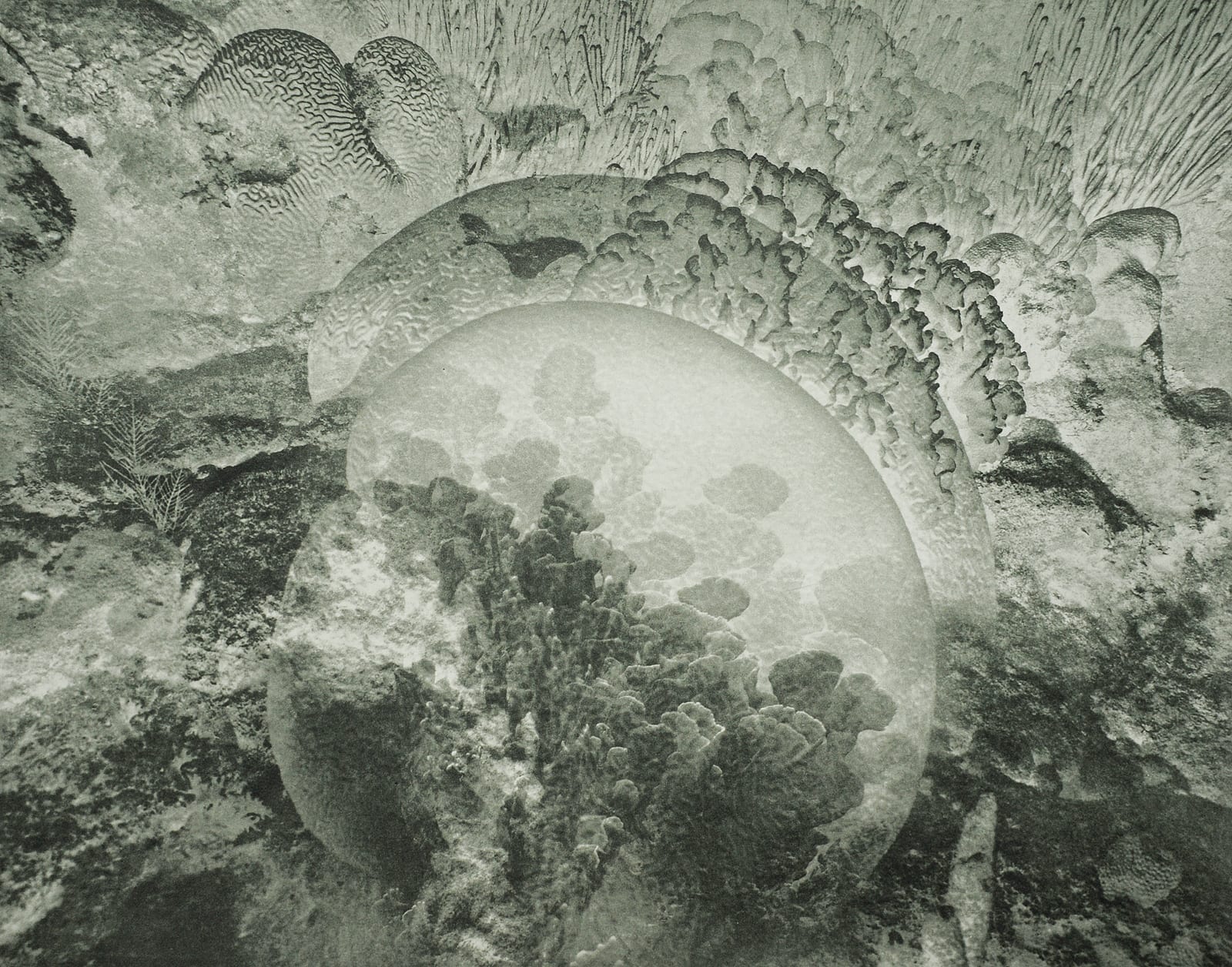 Reef Multiple, Belize, 2012 Photogravure on Hahnemühle Copperplate Paper Size 20x23", Plate Size 13x16.5" Edition of 20 Printed by Lothar Osterburg in 2024