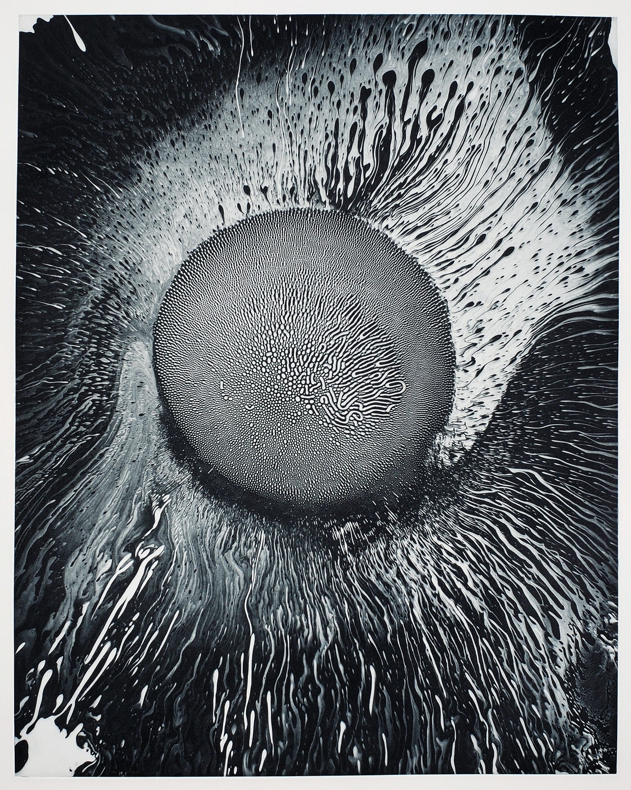 Taiyō, Ferrofluid Photogram on 8x10" Sheet of Film, Photogravure on Hahnemühle Copperplate Paper Size 30x24", Plate Size 24x19" Edition of 10 Printed by Lothar Osterburg in 2024
