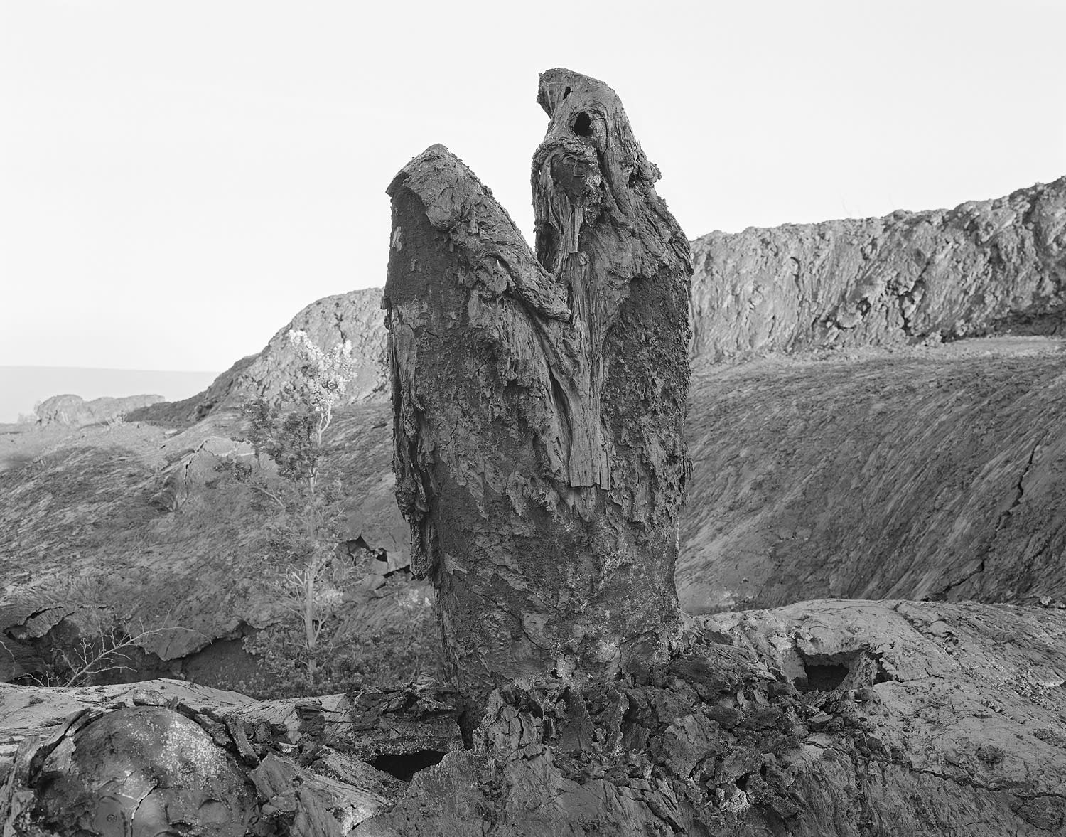 Lava Tree, East Rift Zone, Hawai'i, 2003 Selenium Toned Silver Gelatin Print 16x20" Edition of Three
