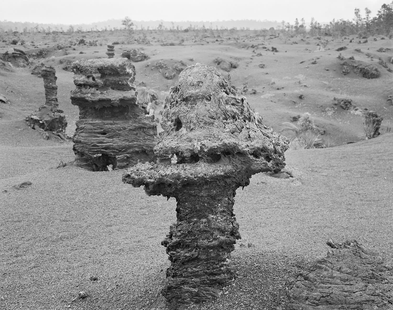Lava Tree, East Rift Zone, Hawai'i, 2003 Selenium Toned Silver Gelatin Print 16x20" Edition of Three
