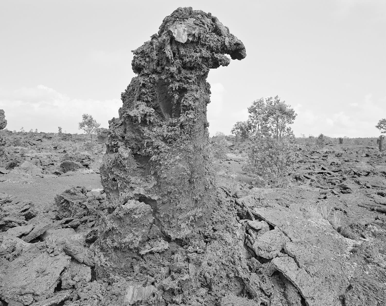 Lava Tree, East Rift Zone, Hawai'i, 2007 Selenium Toned Silver Gelatin Print 16x20" Edition of Three