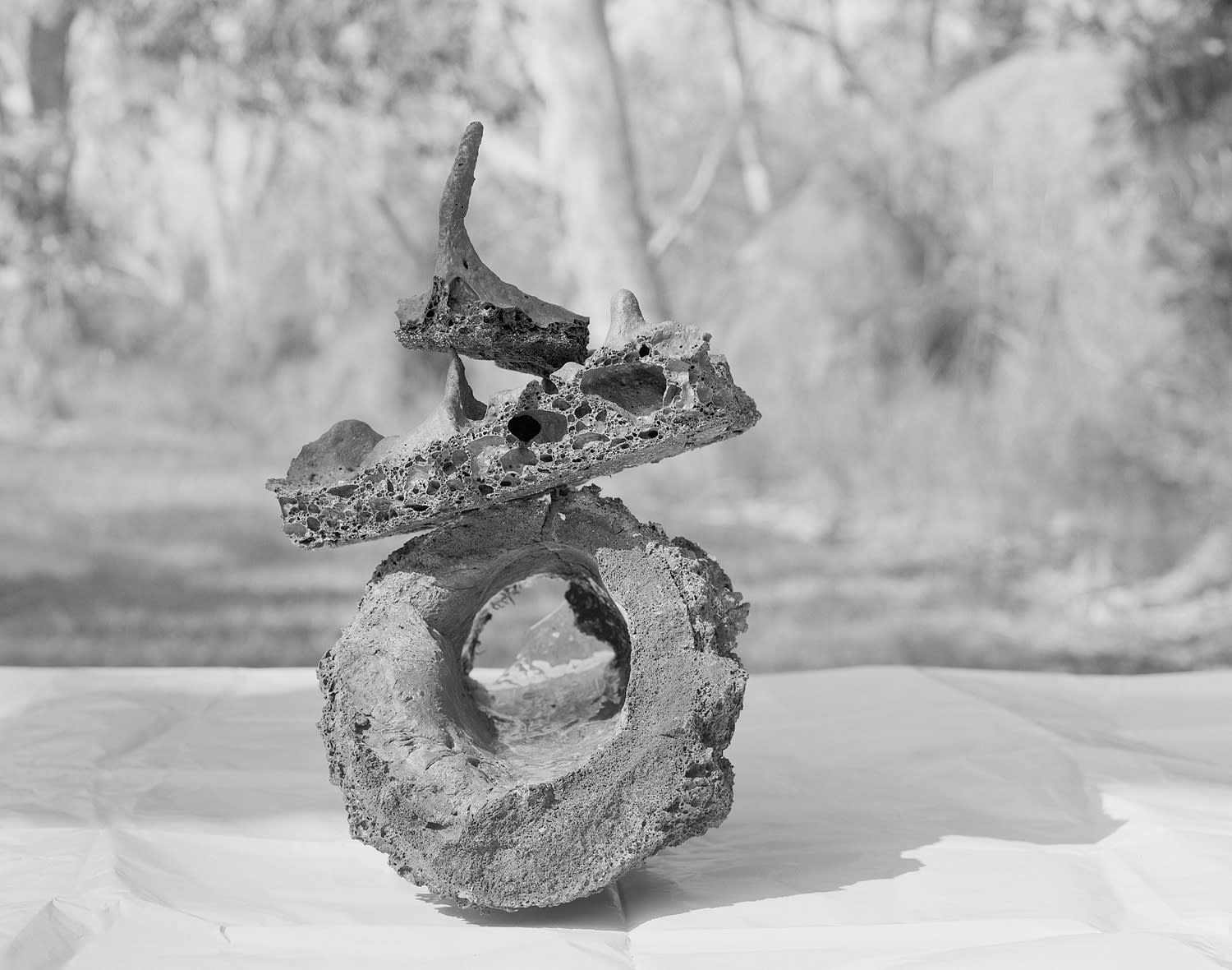 Basalt Blocks from Base of Lava Tree, Volcano Village, Hawai'i, 2011 Selenium Toned Silver Gelatin Print 16x20" Edition of Three