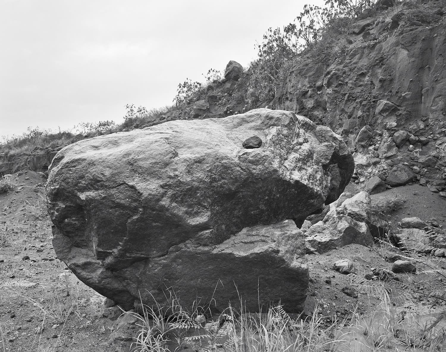 Snake Head Boulder, Belham River, Montserrat, 2016 Selenium Toned Silver Gelatin Print 16x20" Edition of Three