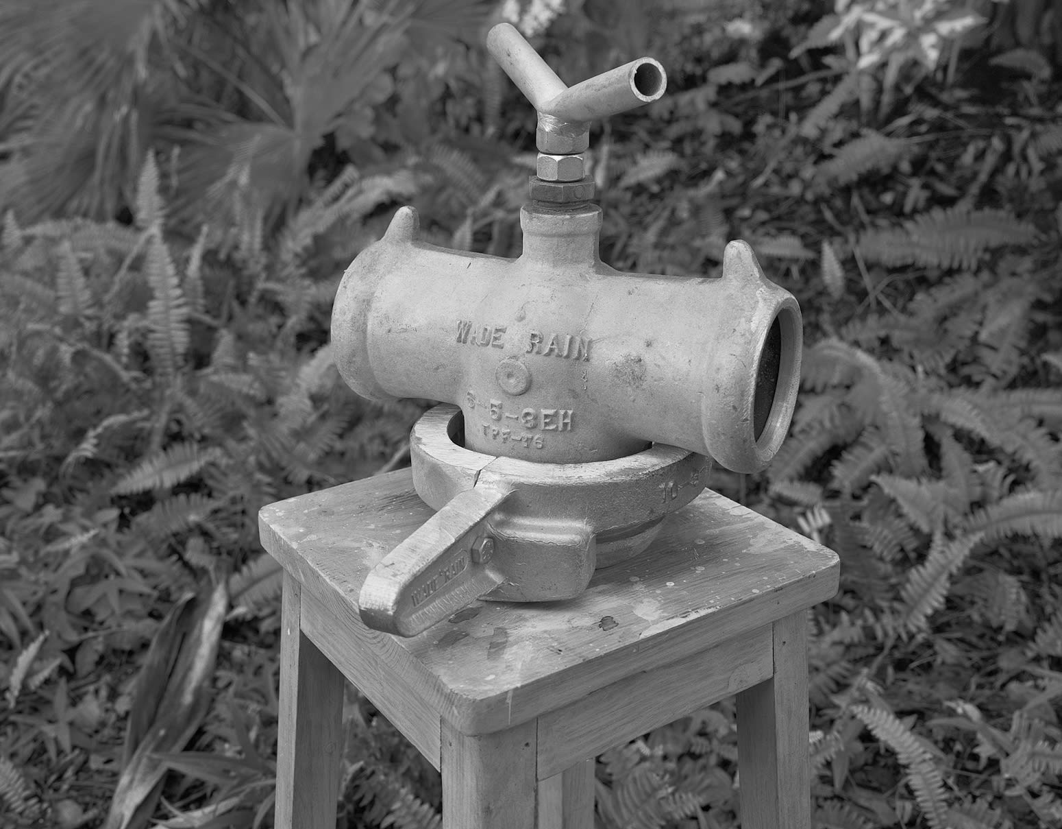 Spontaneous Sculpture, Wade Rain, Brighton Farm, St. George, Barbados, 2017 Selenium Toned Silver Gelatin Print, 20x24" Archival Pigment Print on Moab Entrada Rag, 17x21" Edition of Three