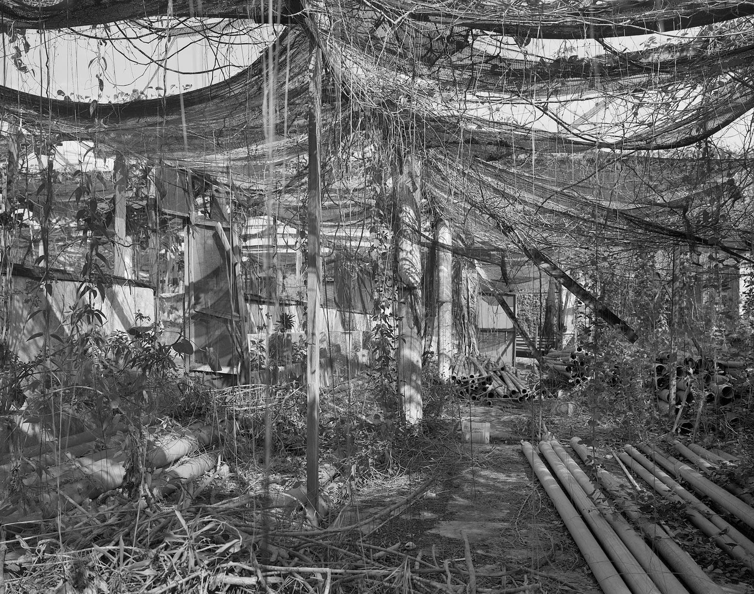 Irrigation Pipe Storage, Brighton Farm, St. George, Barbados, 2016 Selenium Toned Silver Gelatin Print, 20x24" Archival Pigment Print on Moab Entrada Rag, 17x21" Edition of Three