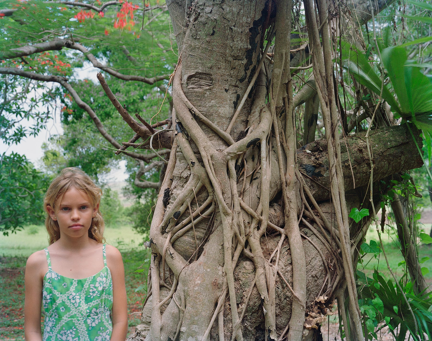 Bethany, Brighton Farm, St. George, Barbados, 2003 Archival Pigment Print on Moab Entrada Rag, 17x21" Edition of Three