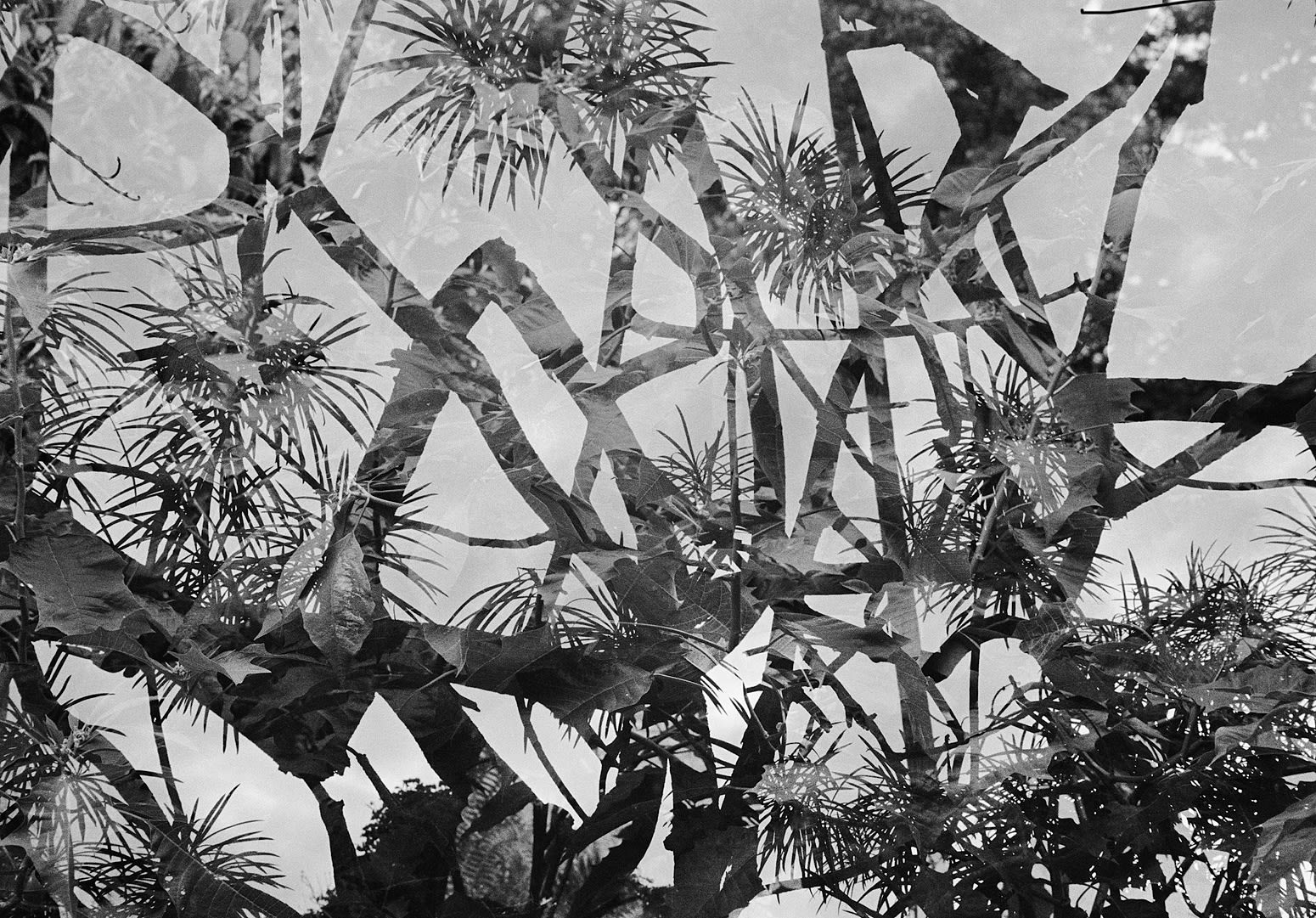 Untitled Double Exposure, Brighton Farm, St. George, Barbados, 2012 Selenium Toned Silver Gelatin Print, 16x20" Archival Pigment Print on Moab Entrada Rag, 17x21" Edition of Three