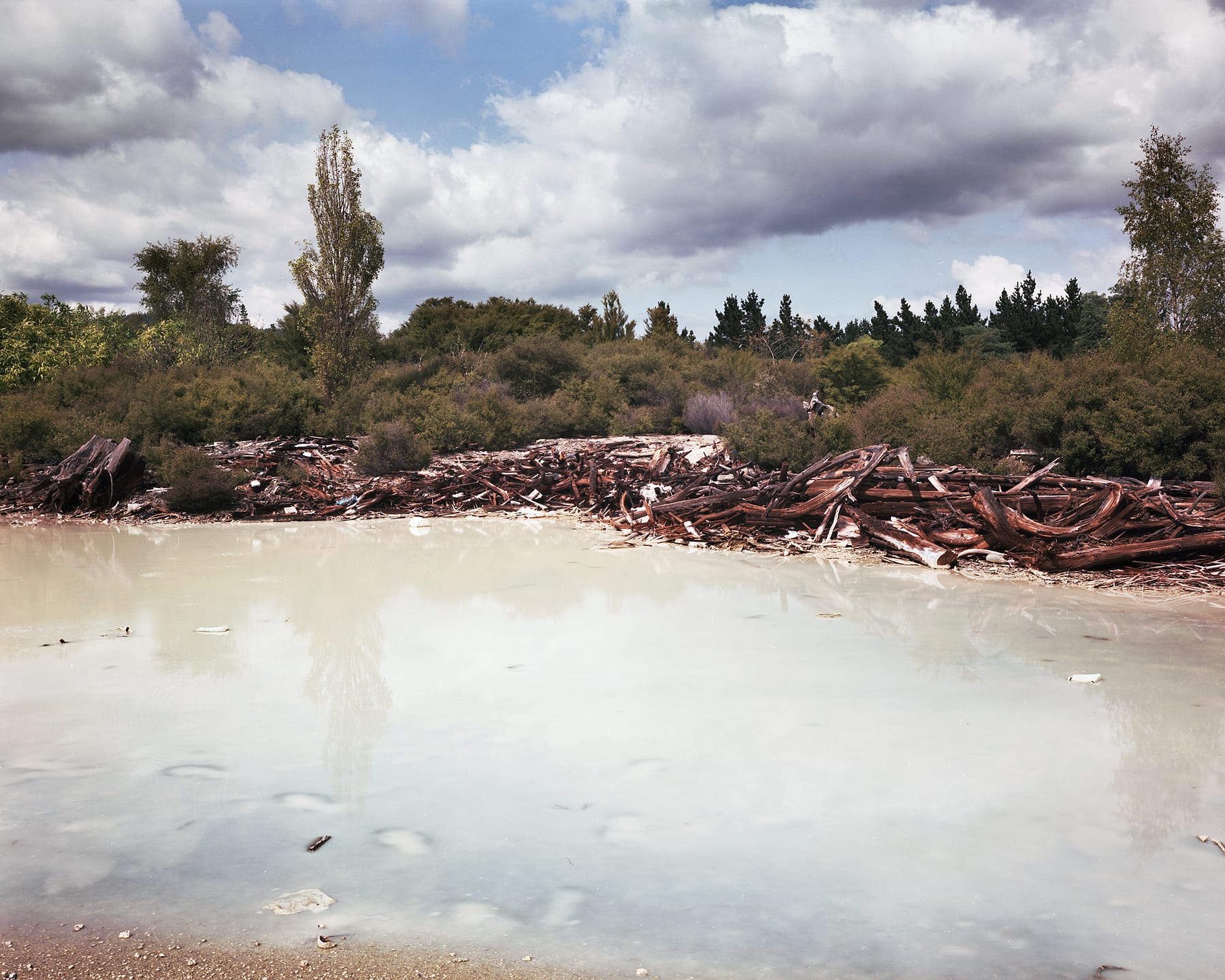 Debris Along the Shores of Lake Rotorua, New Zealand, 1995 Archival Pigment Print on Moab Entrada Rag, Image Size, 8x10", Paper Size, 17x21" Edition of Three