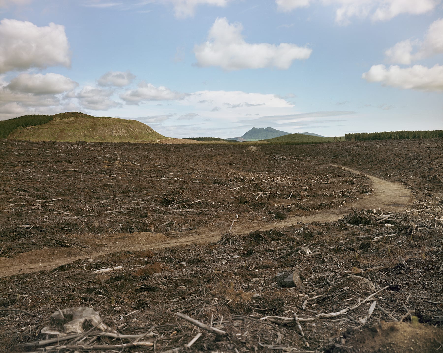 Logging Road, Looking South Towards Mount Tauhara Lava Dome, New Zealand, 1995 Archival Pigment Print on Moab Entrada Rag, Image Size, 8x10", Paper Size, 17x21" Edition of Three