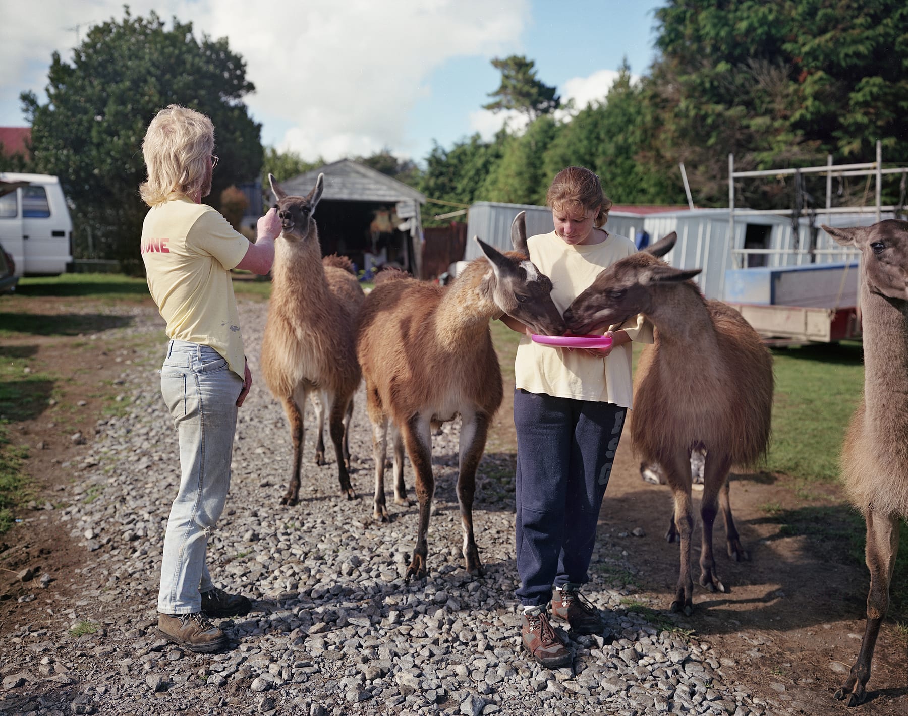 Beth and Alen with Their Llamas, Ohakune, New Zealnd, 1995 Archival Pigment Print on Moab Entrada Rag, Image Size, 8x10", Paper Size, 17x21" Edition of Three