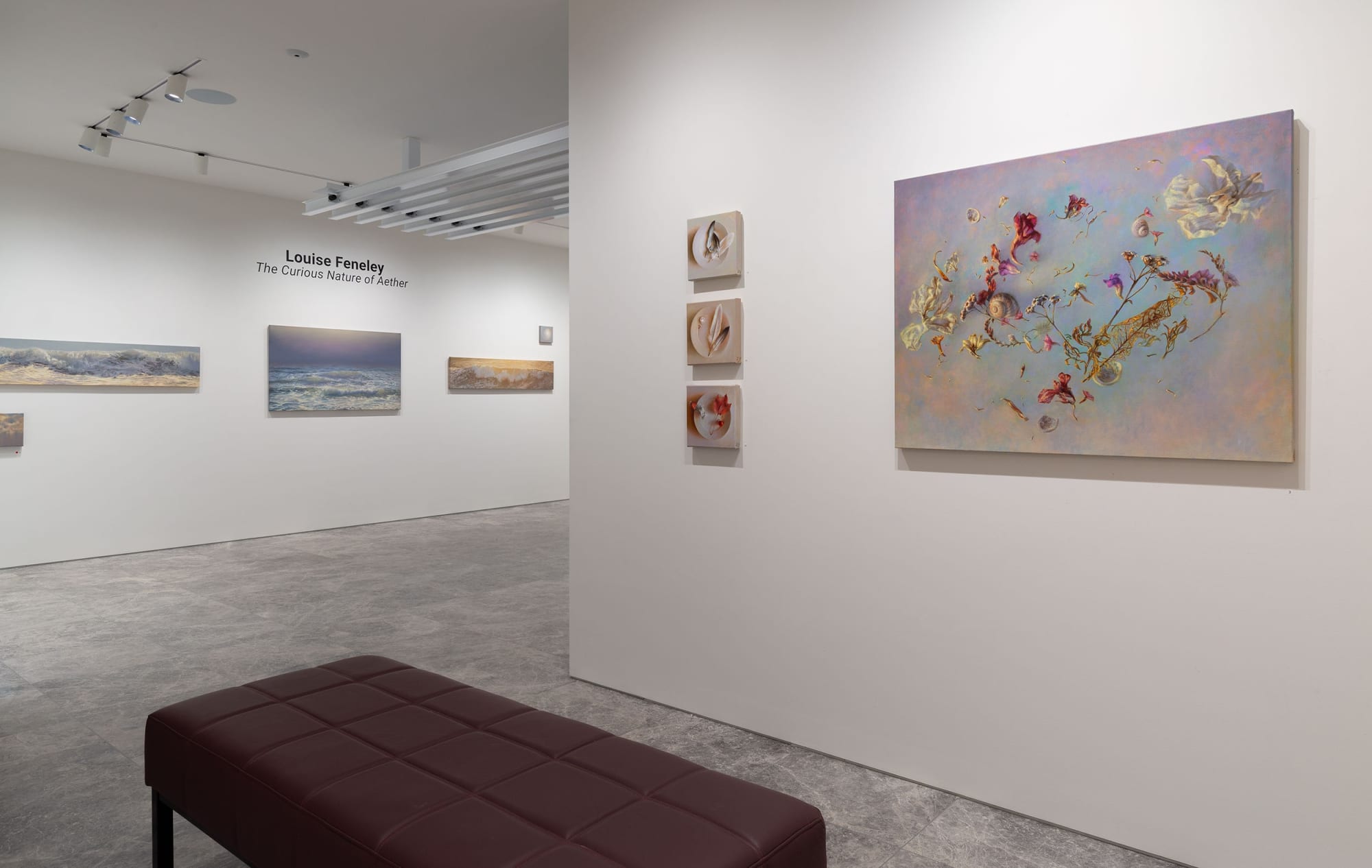 The Curious Nature of Aether