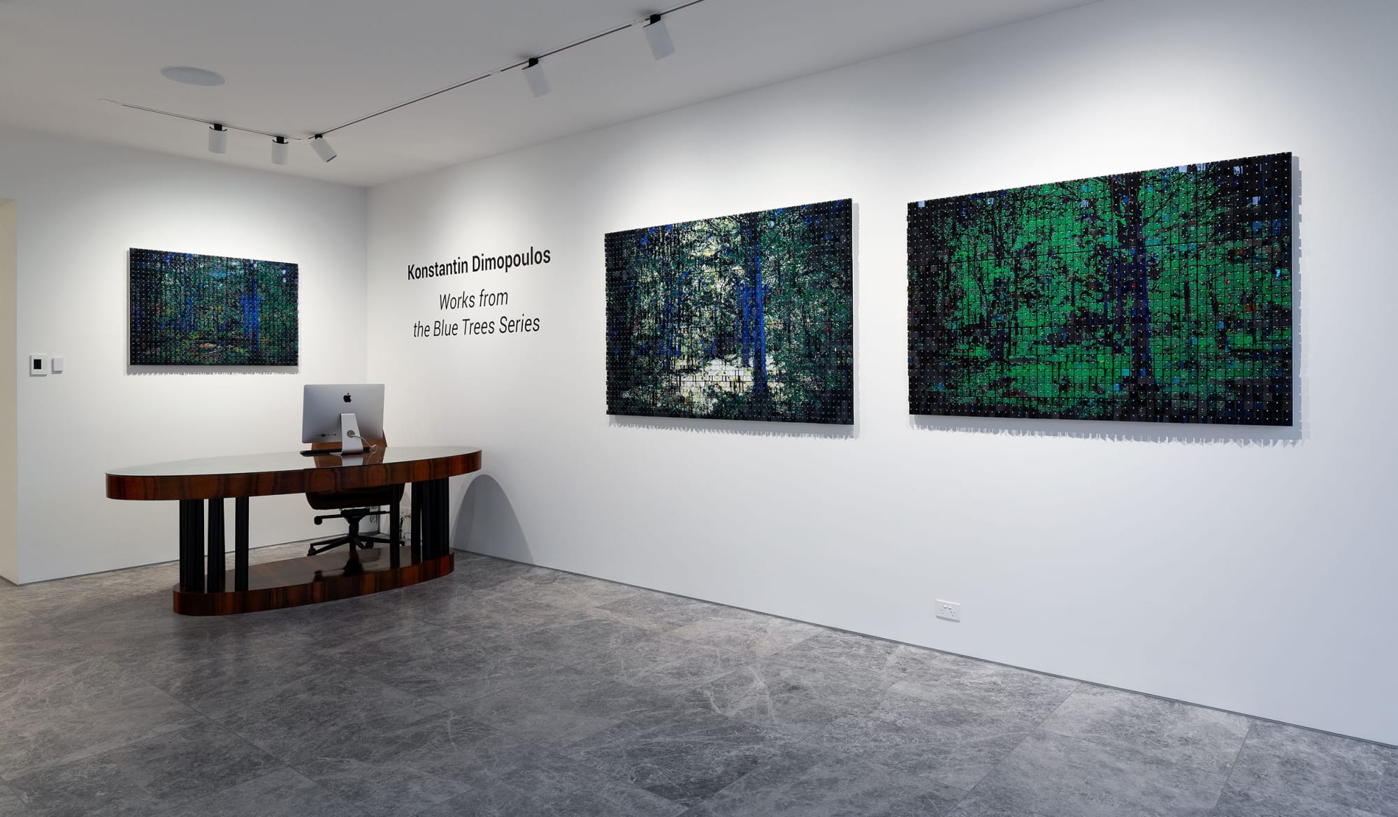 Konstantin Dimopoulos, Selected Work from the Blue Tree Series, 2024 Installation view, Lennox St. Gallery
