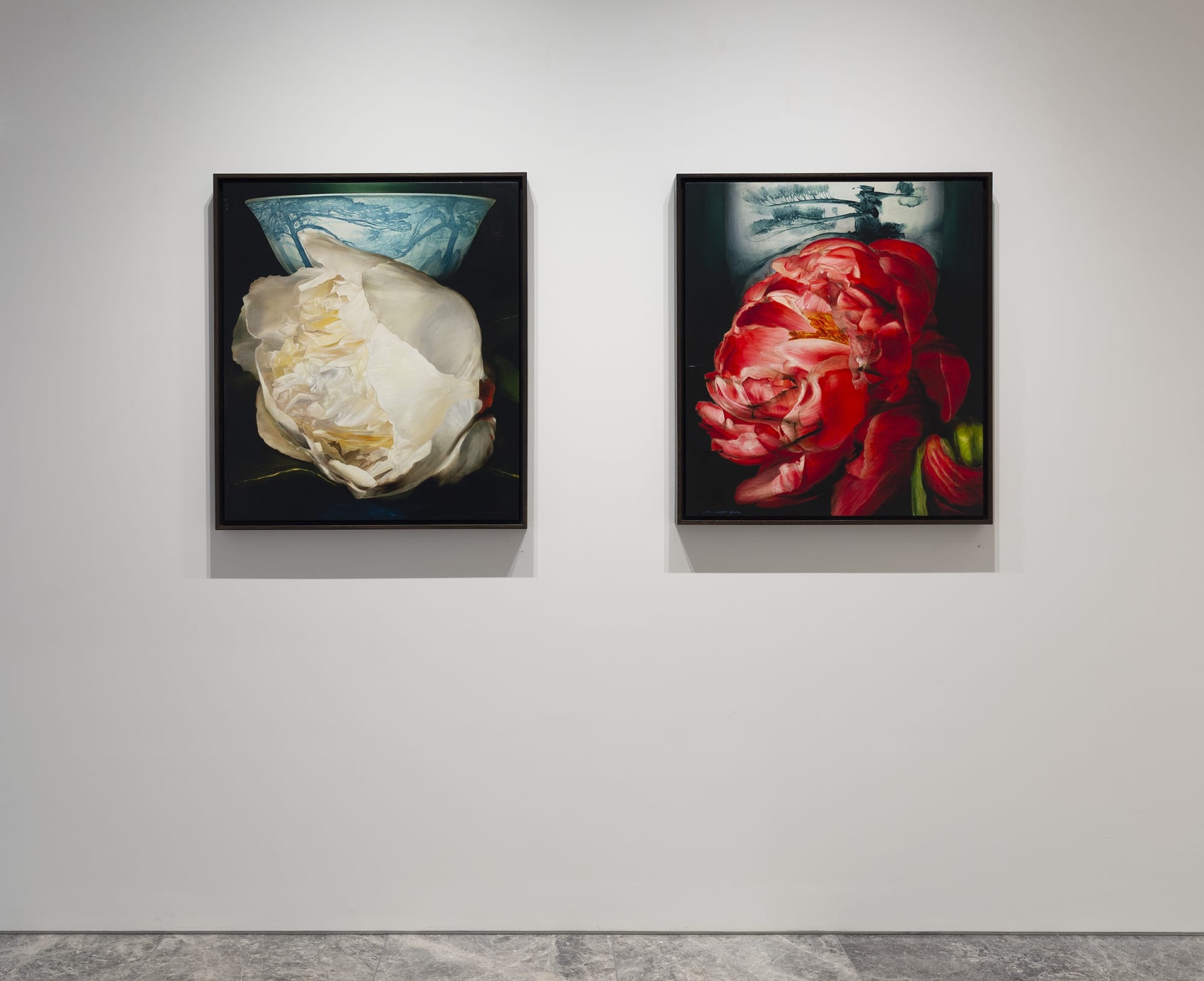 A journey into the wild mountains