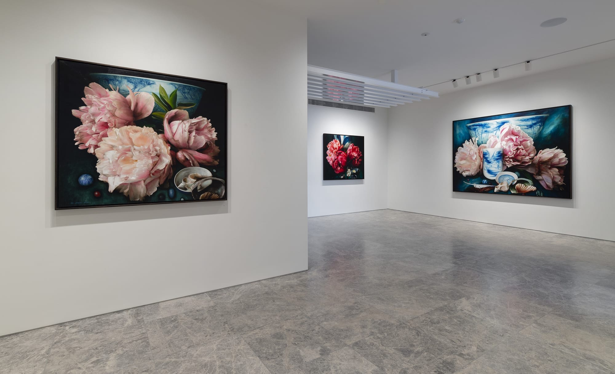 A journey into the wild mountains