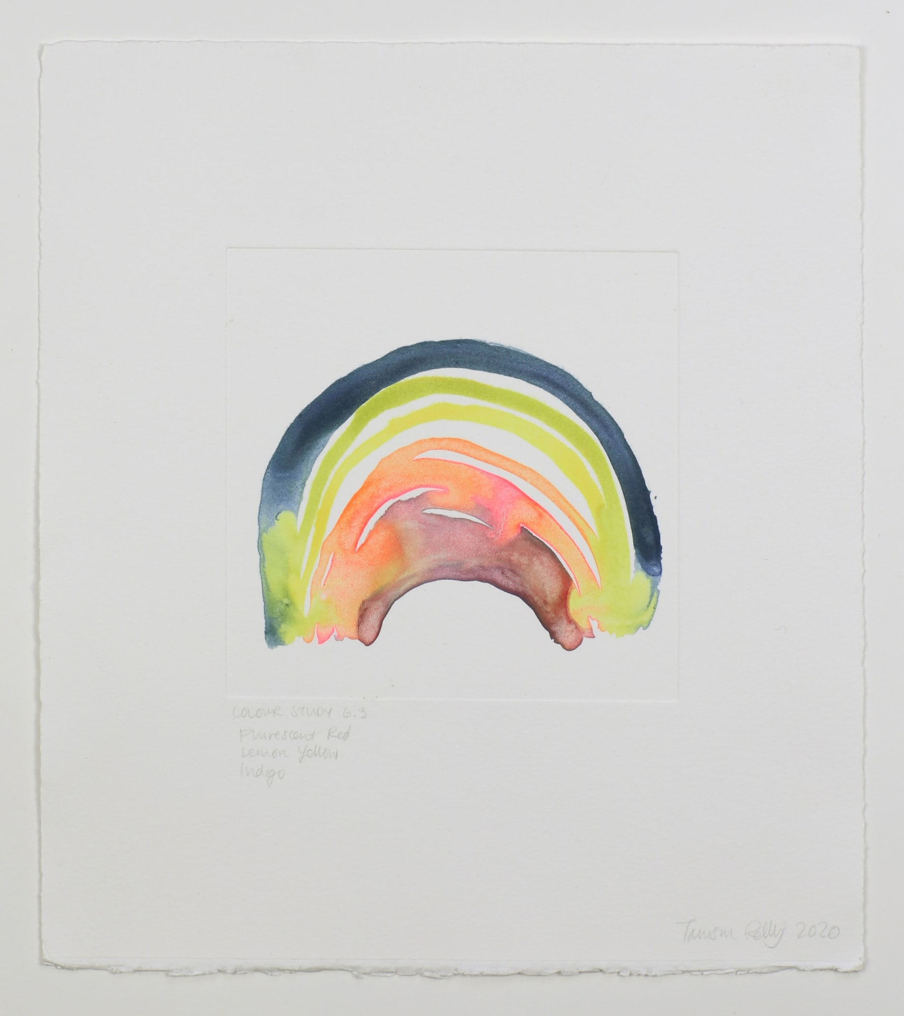 Tamsin Relly, Colour Study 6.3, 2020