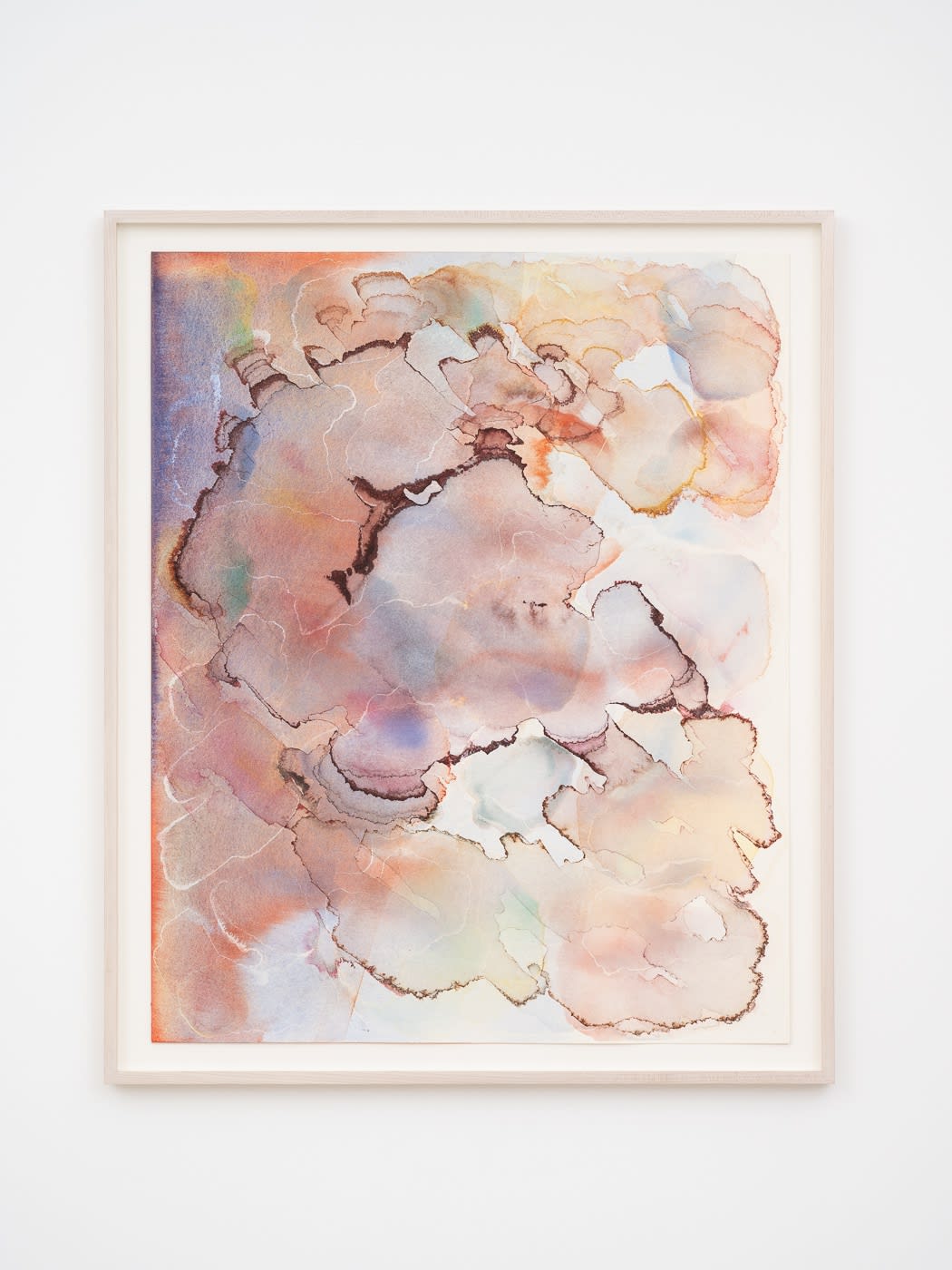 Barbara Nicholls, Rerserve, 2023