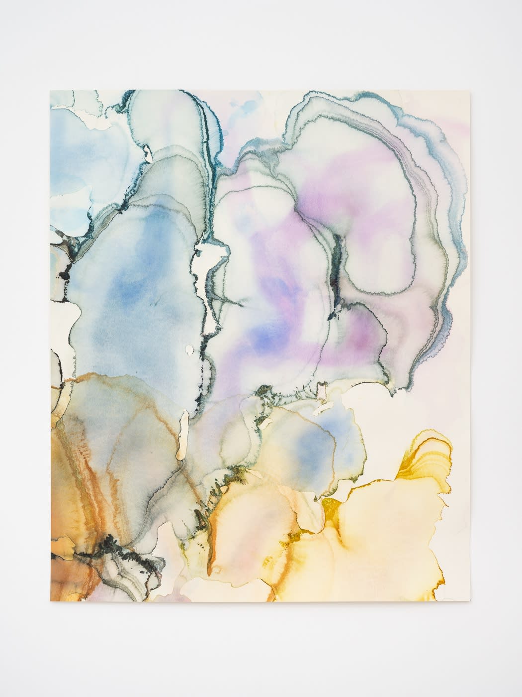 Barbara Nicholls, Suffusions,, 2023