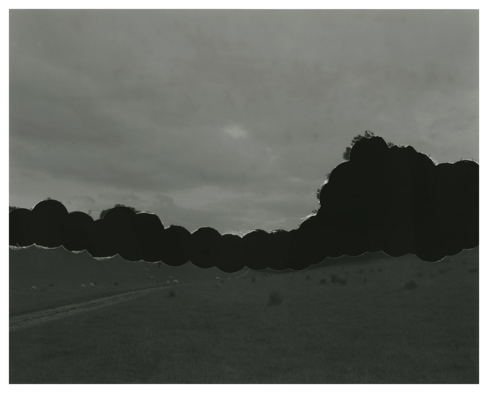 Aliki Braine, Blackout Black Landscape, 2007