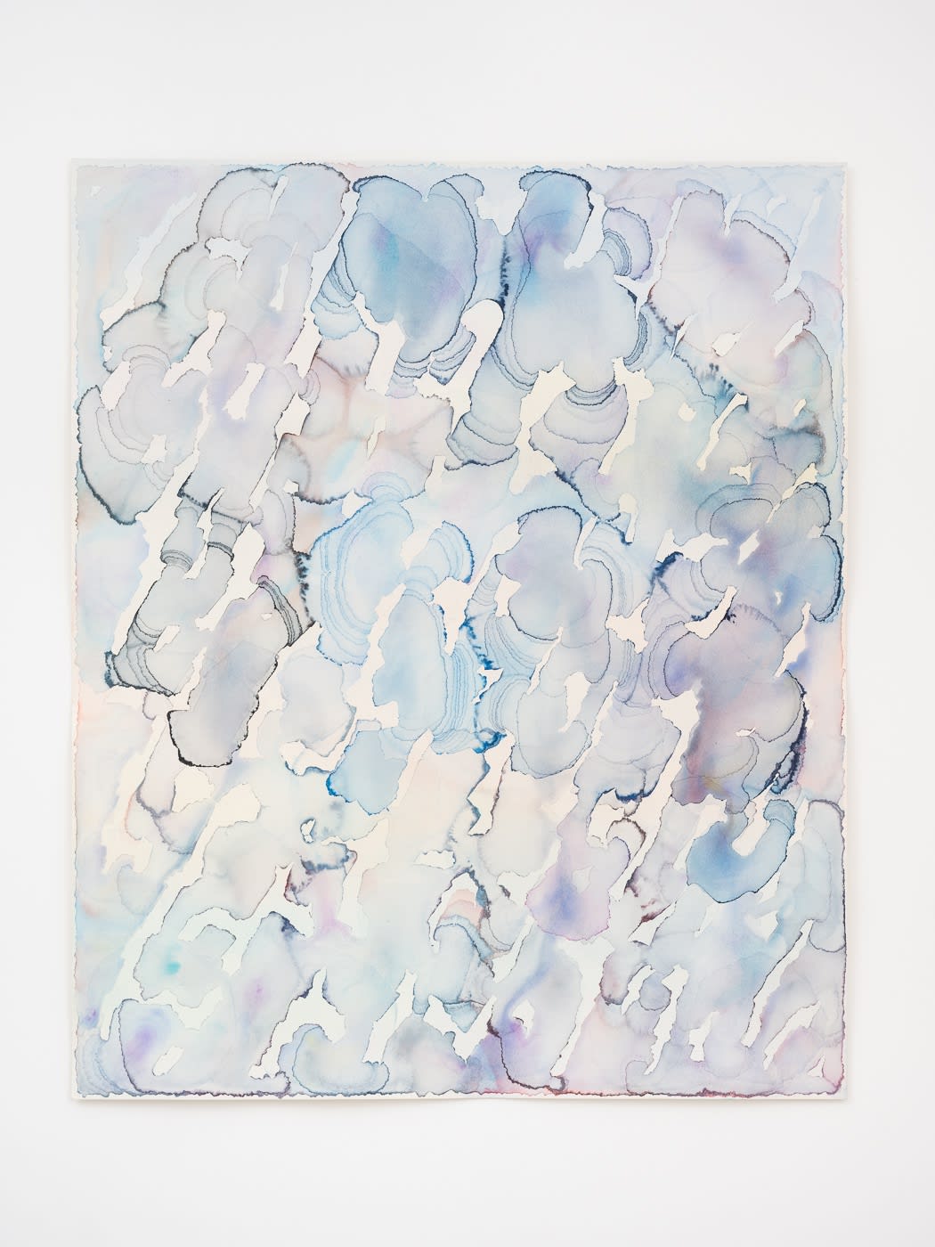 Barbara Nicholls, Sheet, 2023