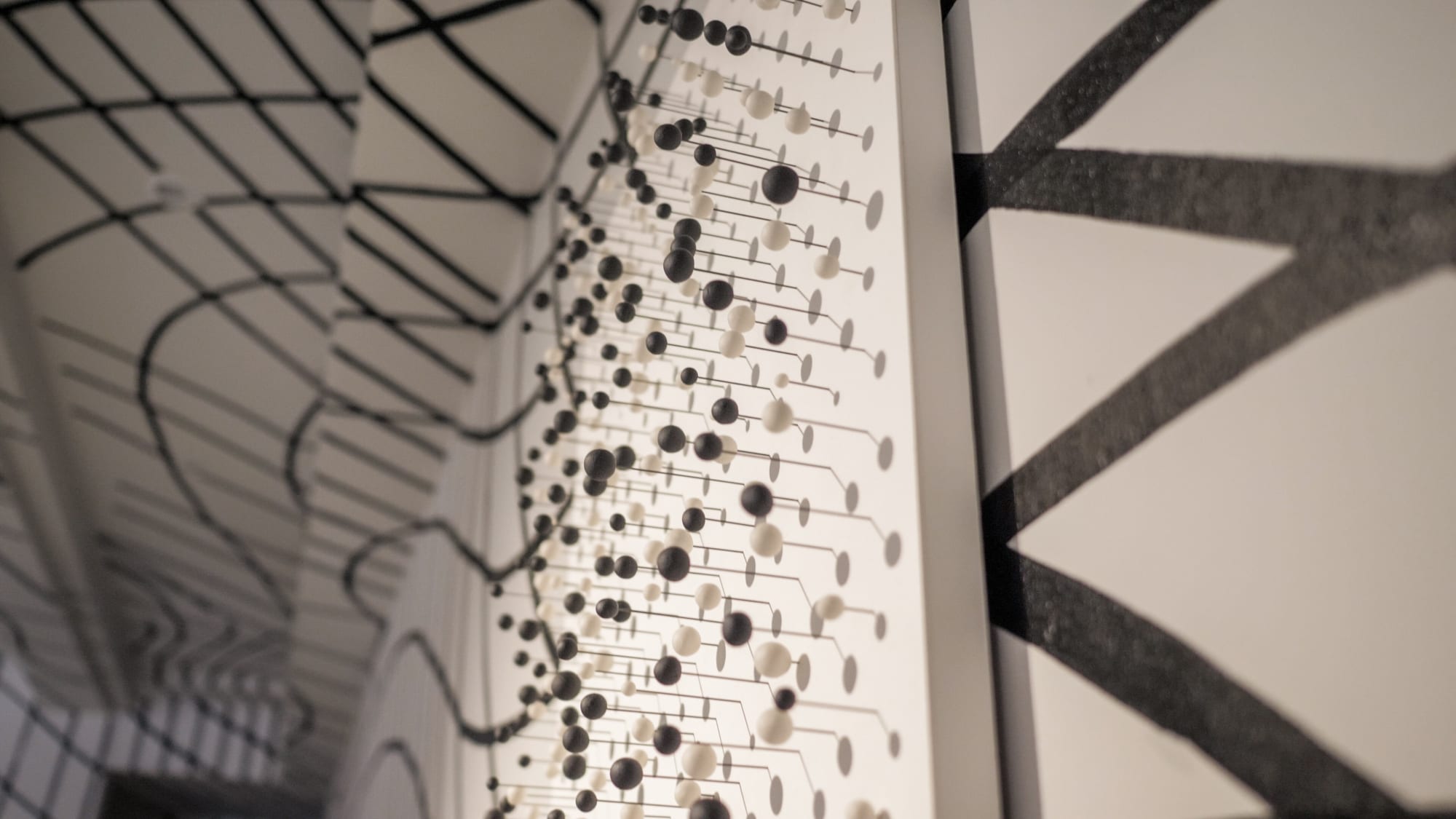 Inside the Strongest Colours: Black and White