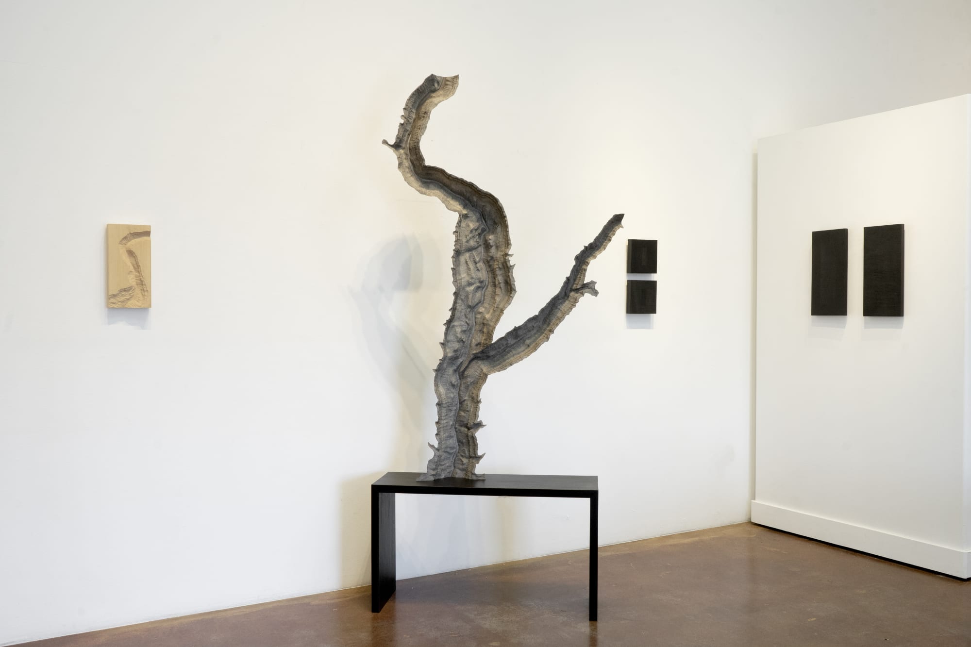 Dean Pulver: Close to Home, Landscape Portraits